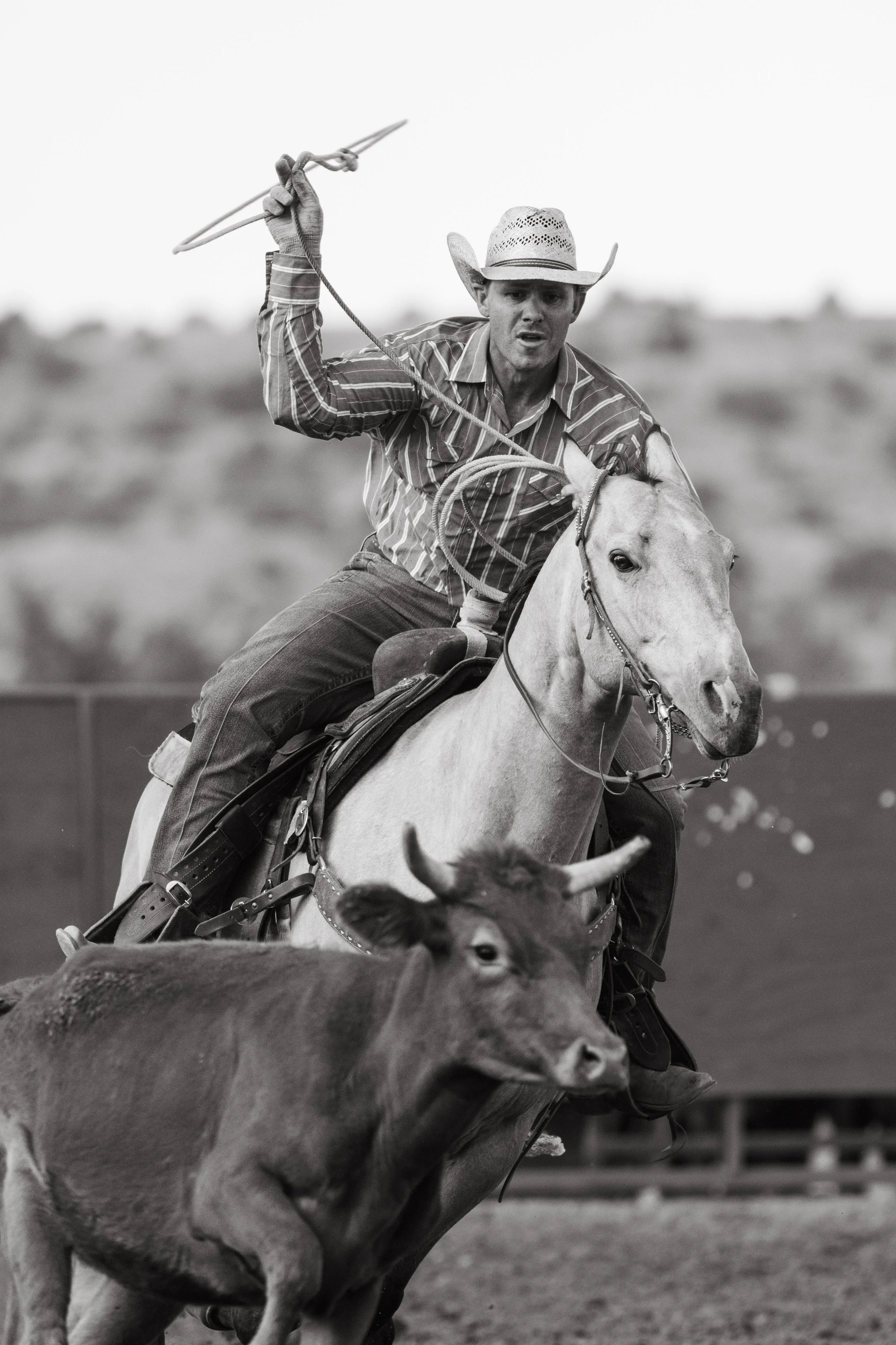 Gardnerville rancher days-18.jpg