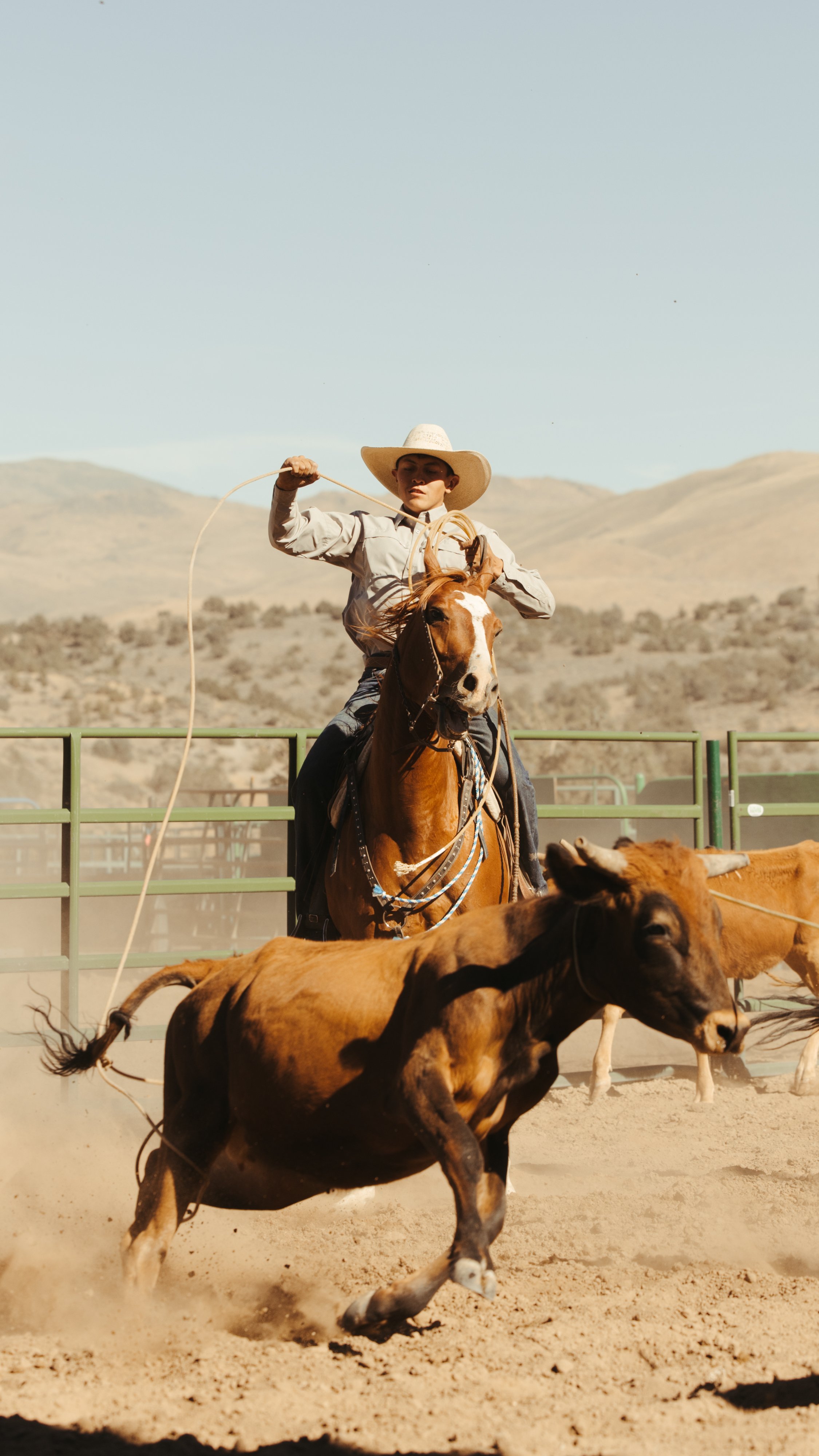 Gardnerville rancher days-17.jpg