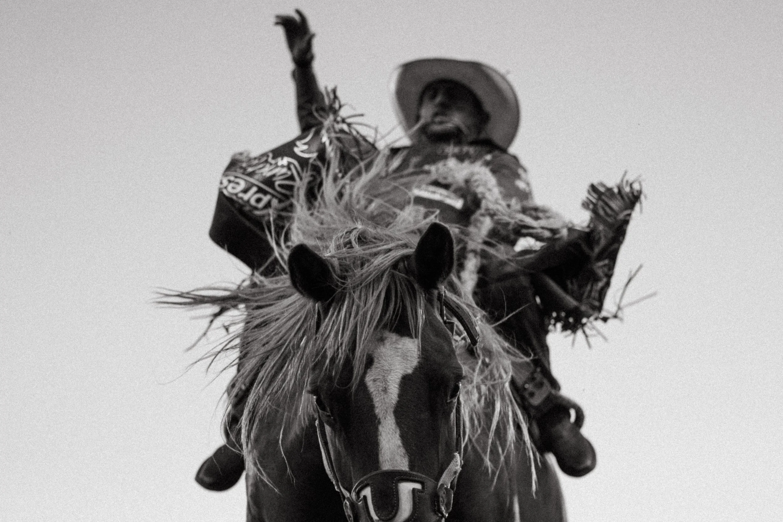 Rodeo-13.jpg