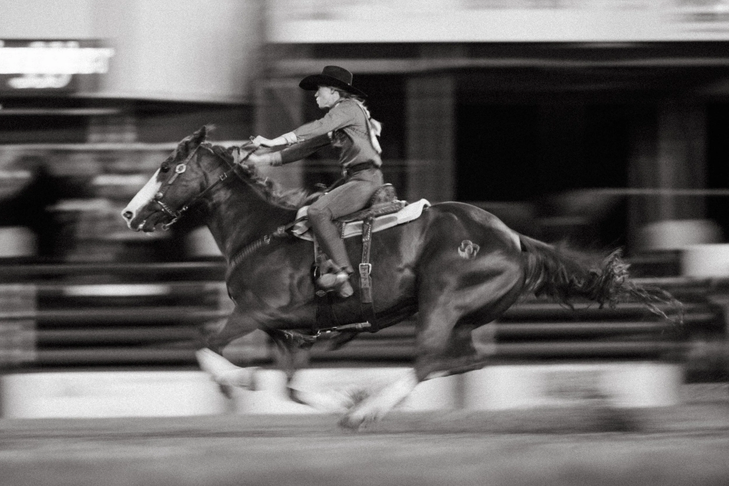 Rodeo-24.jpg