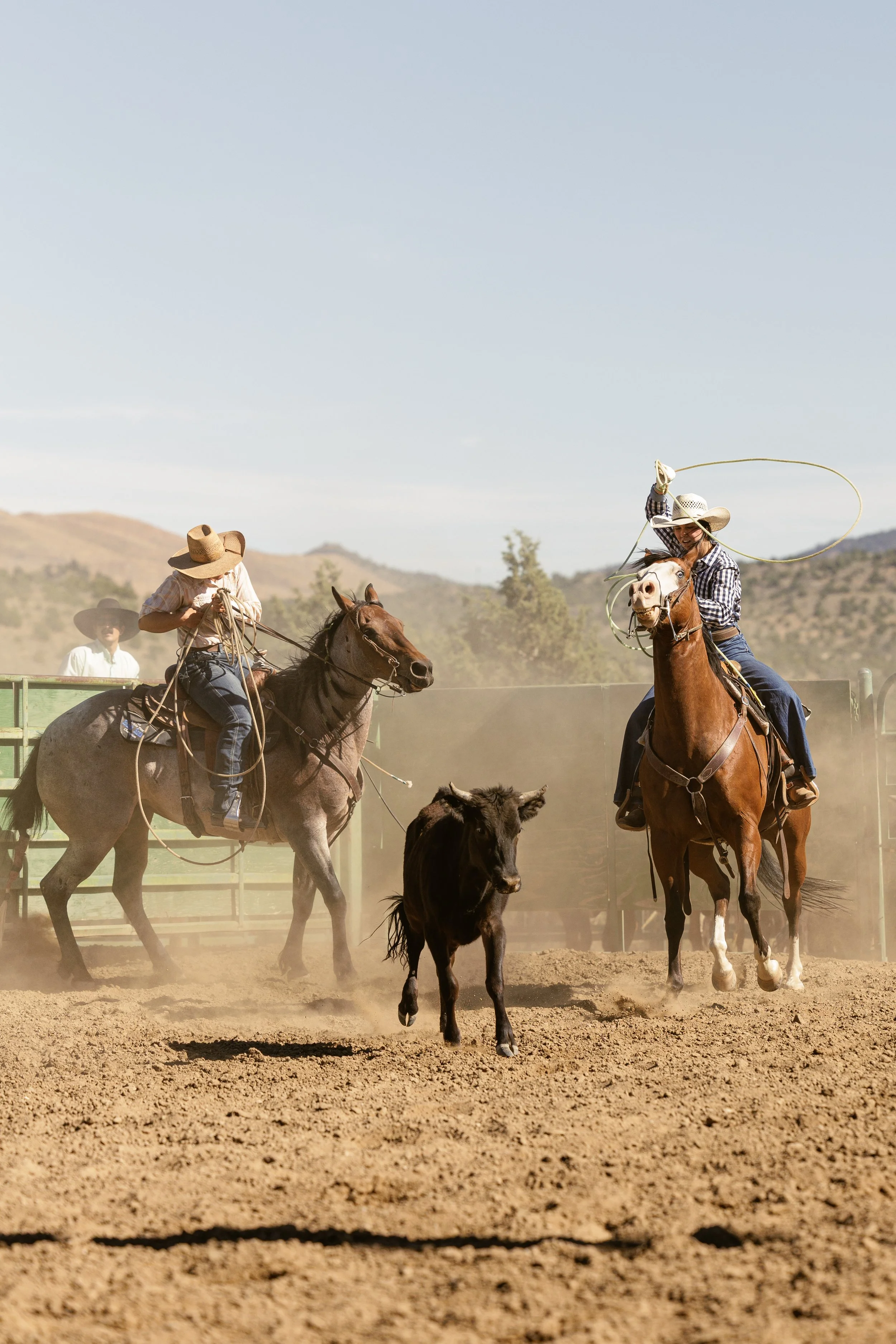 Gardnerville rancher days-7.jpg