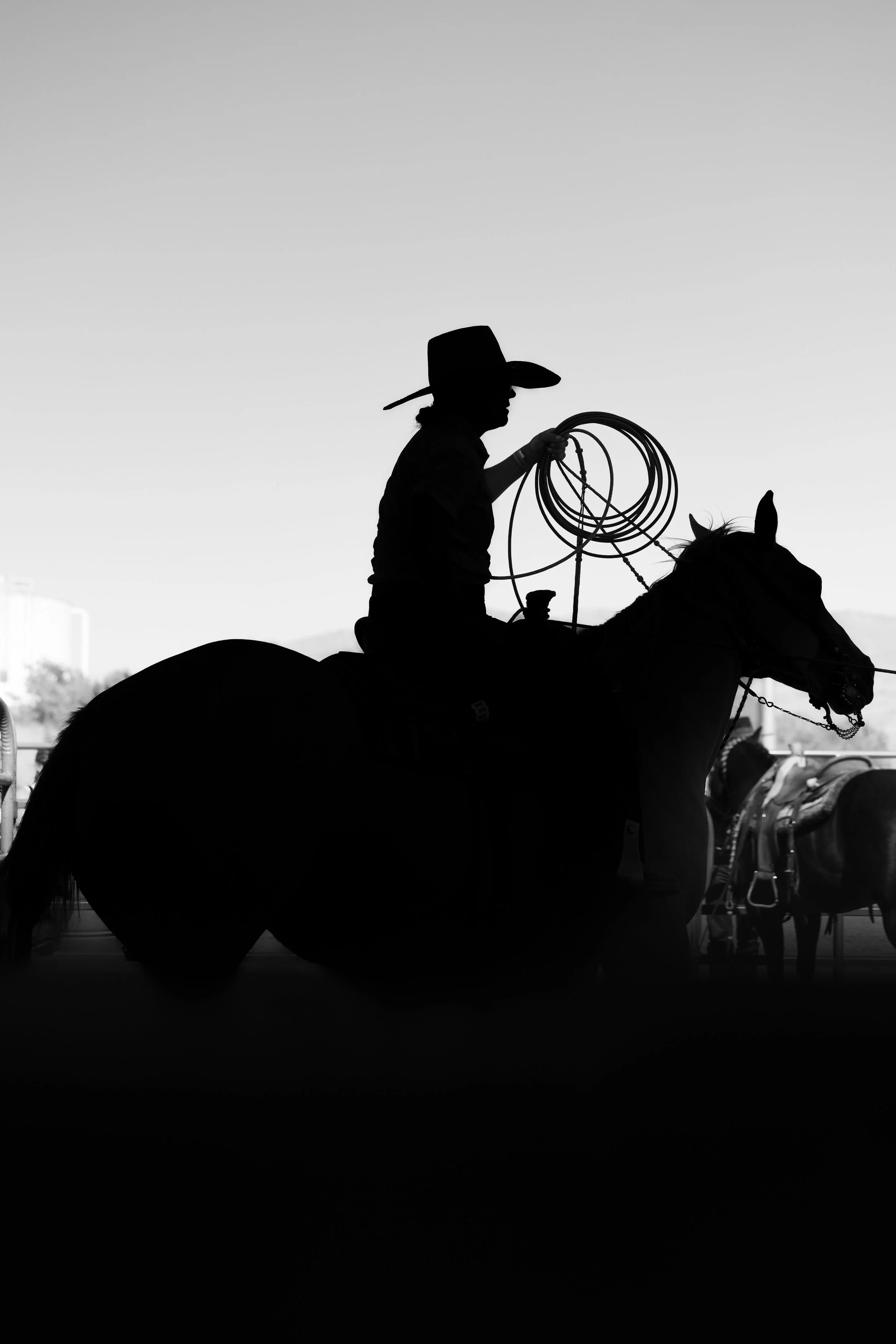 Gardnerville rancher days-2.jpg