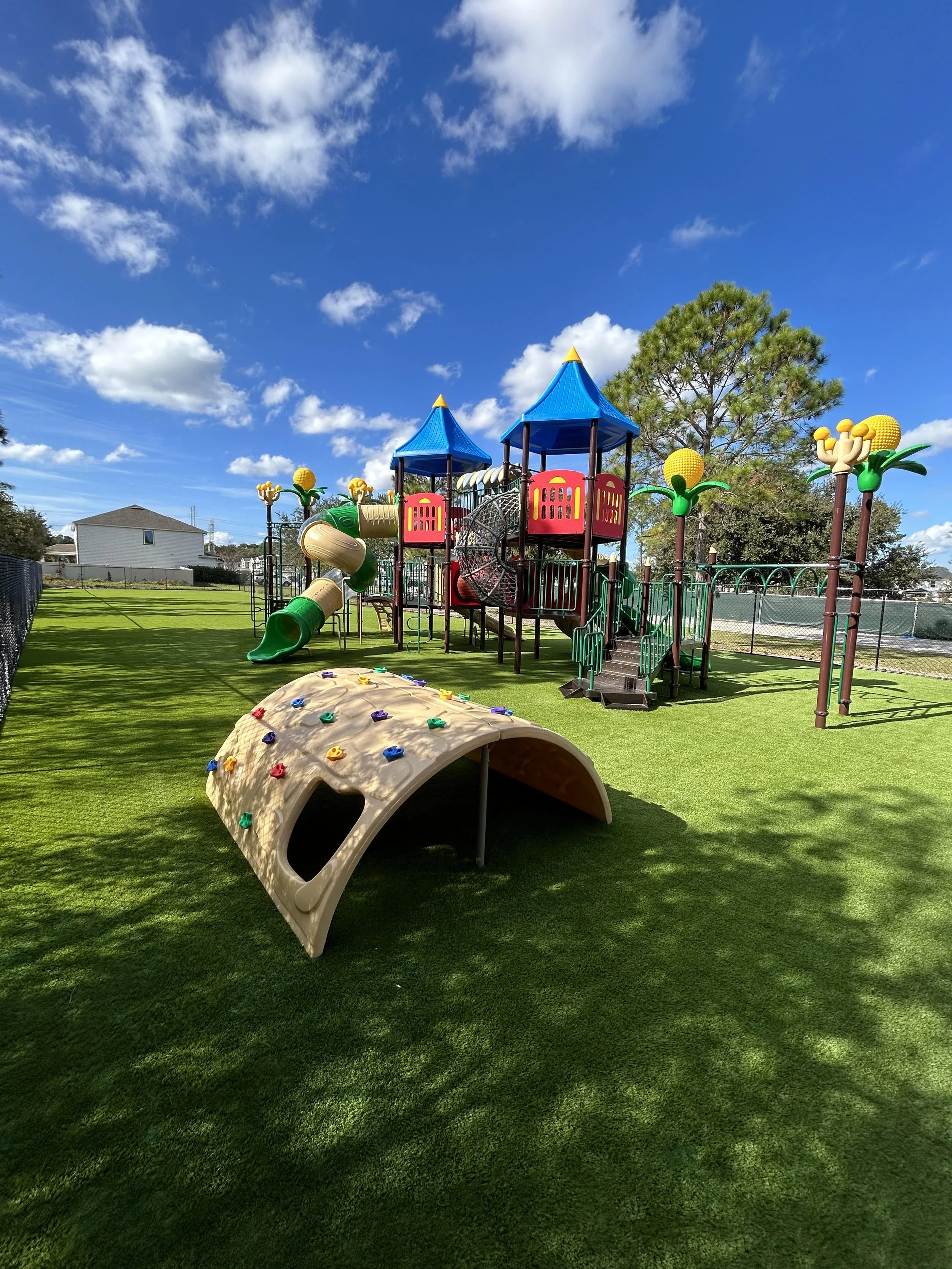 Playground Turf.jpg