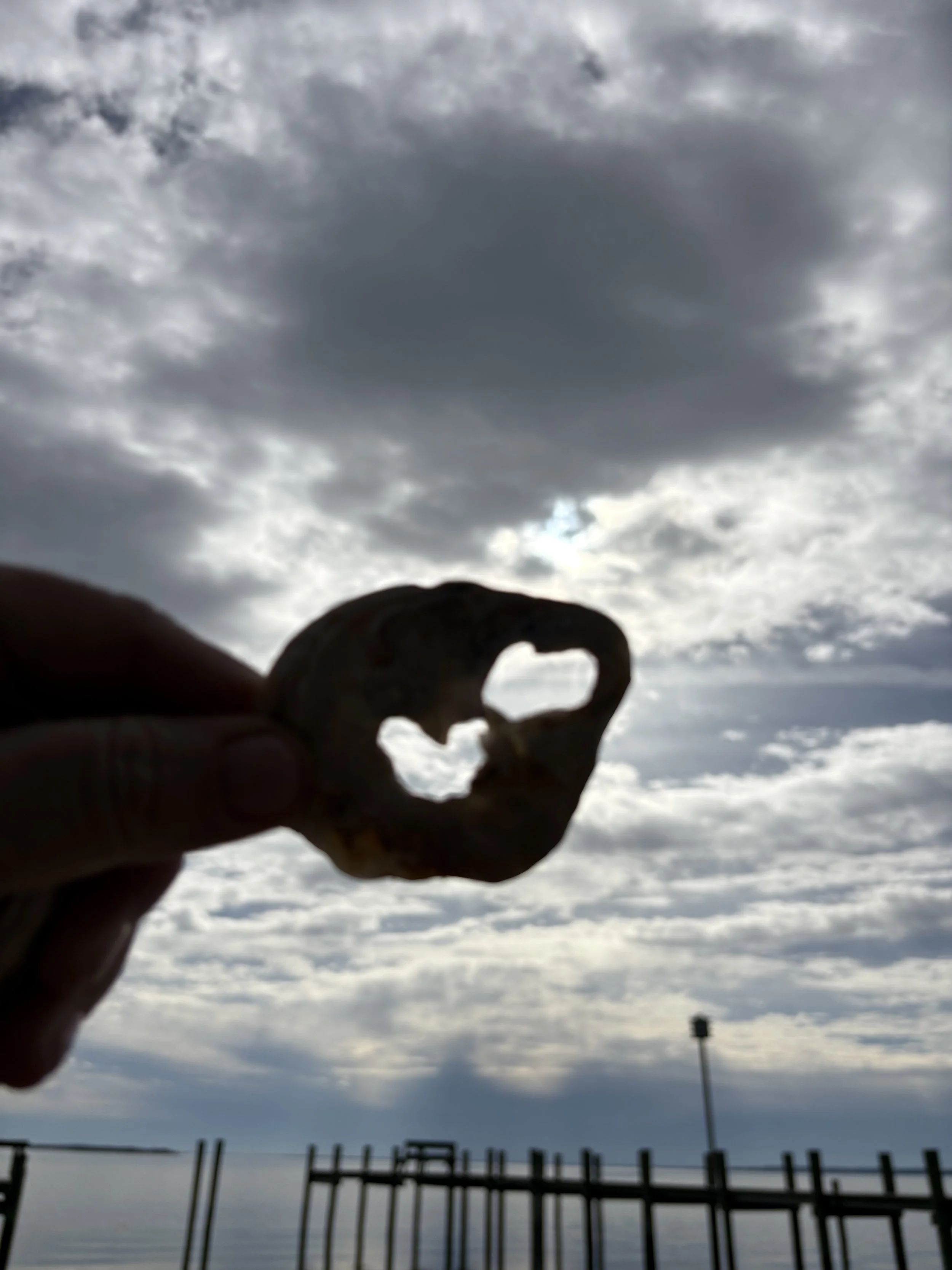 Person holding a small object, possibly a seashell, against a cloudy sky with water and a pier in the background.