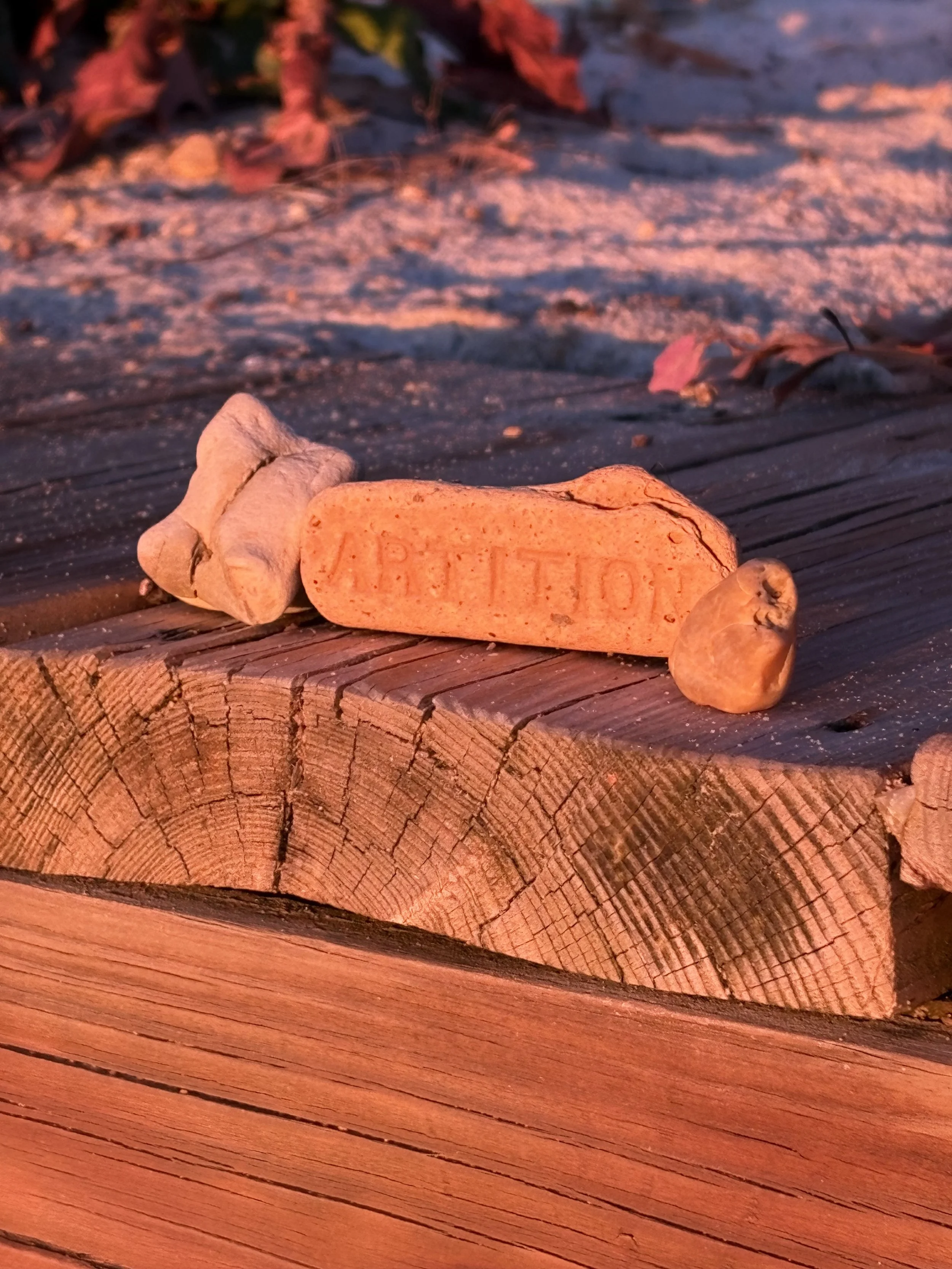 Close-up of a wooden surface with a small carved piece of clay or soap with the word "APPLIED" on it, surrounded by fallen leaves.