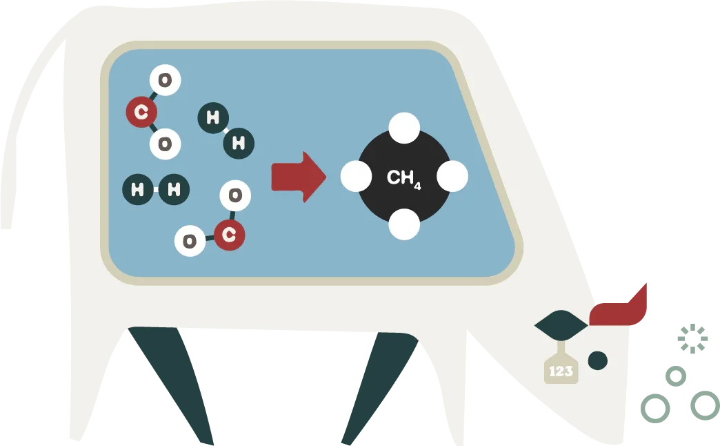 Diagram showing how molecular structures are converted into a chemical formula of methane (CH4).