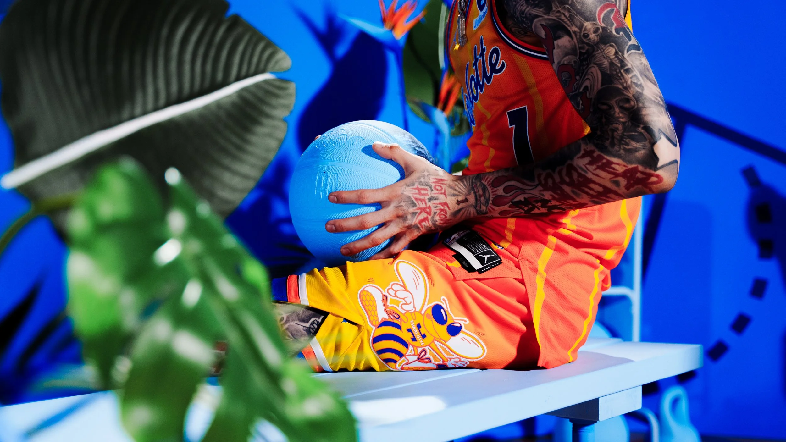 Hoopers Paradise