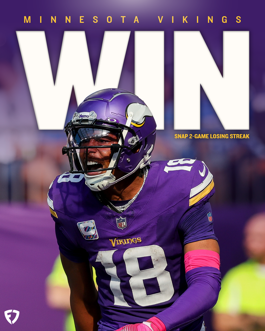 vikings_W.PNG