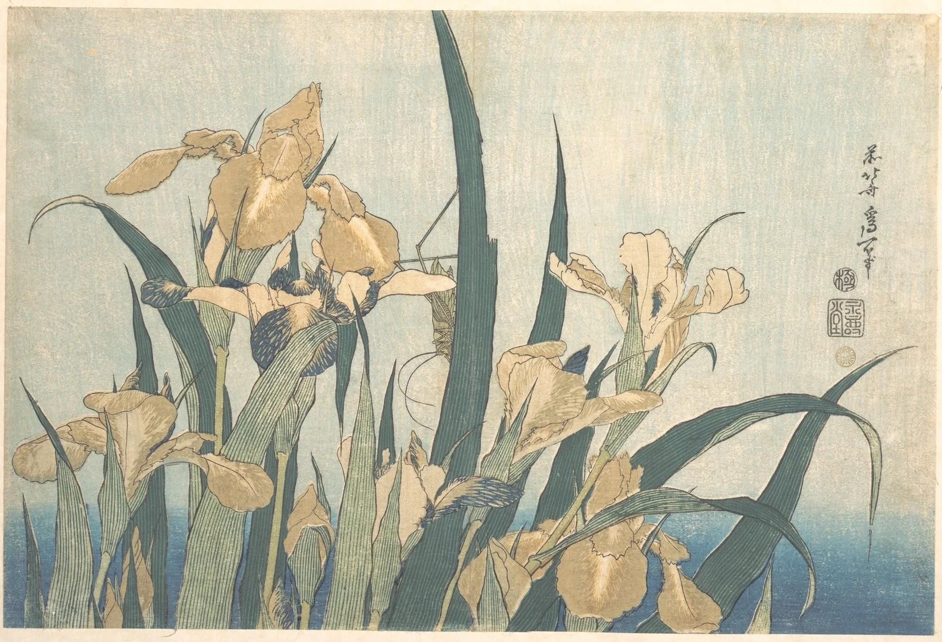 Grasshopper and Iris. Katsushika Hokusai, c. late 1820s