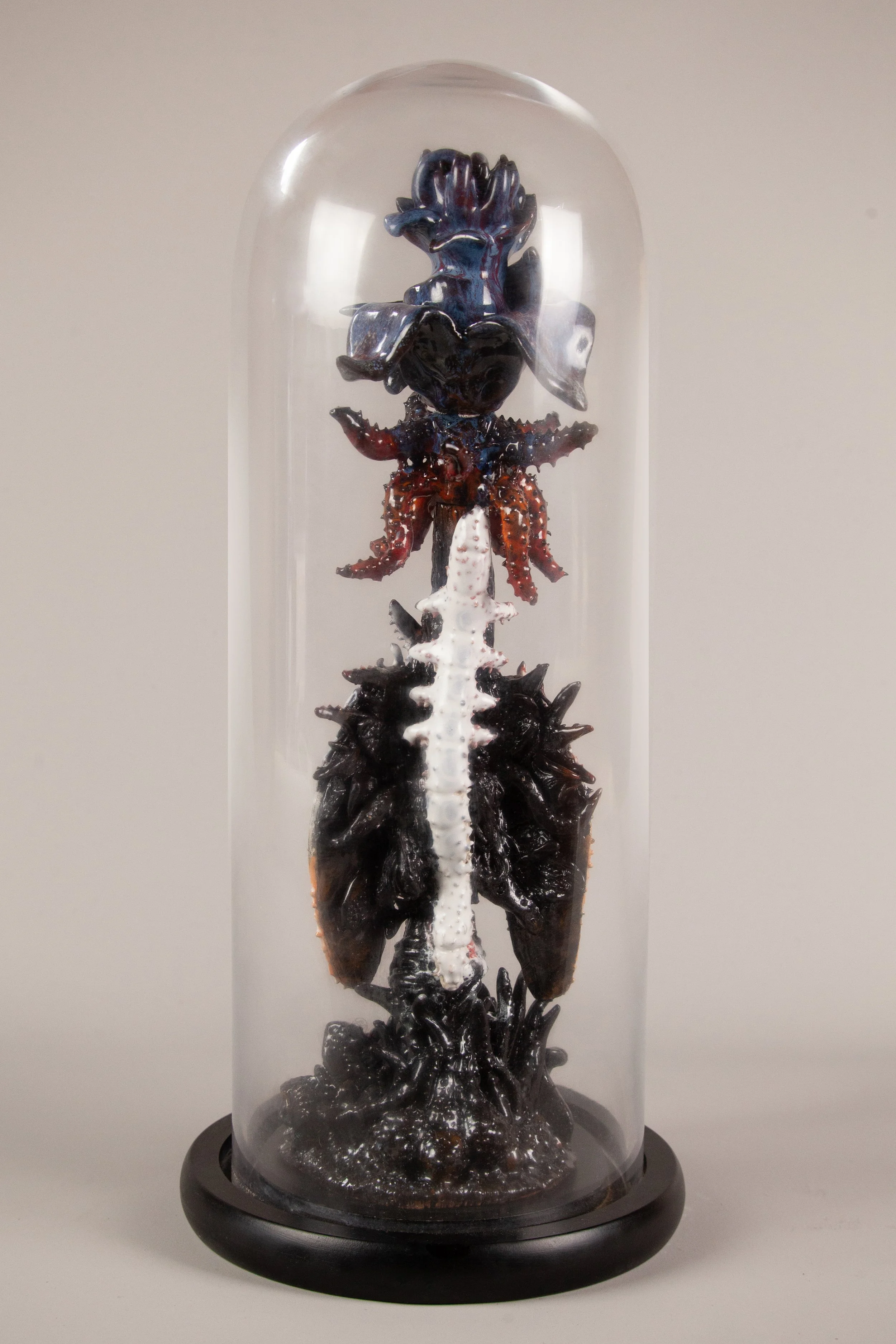 dimorph_glass.jpg