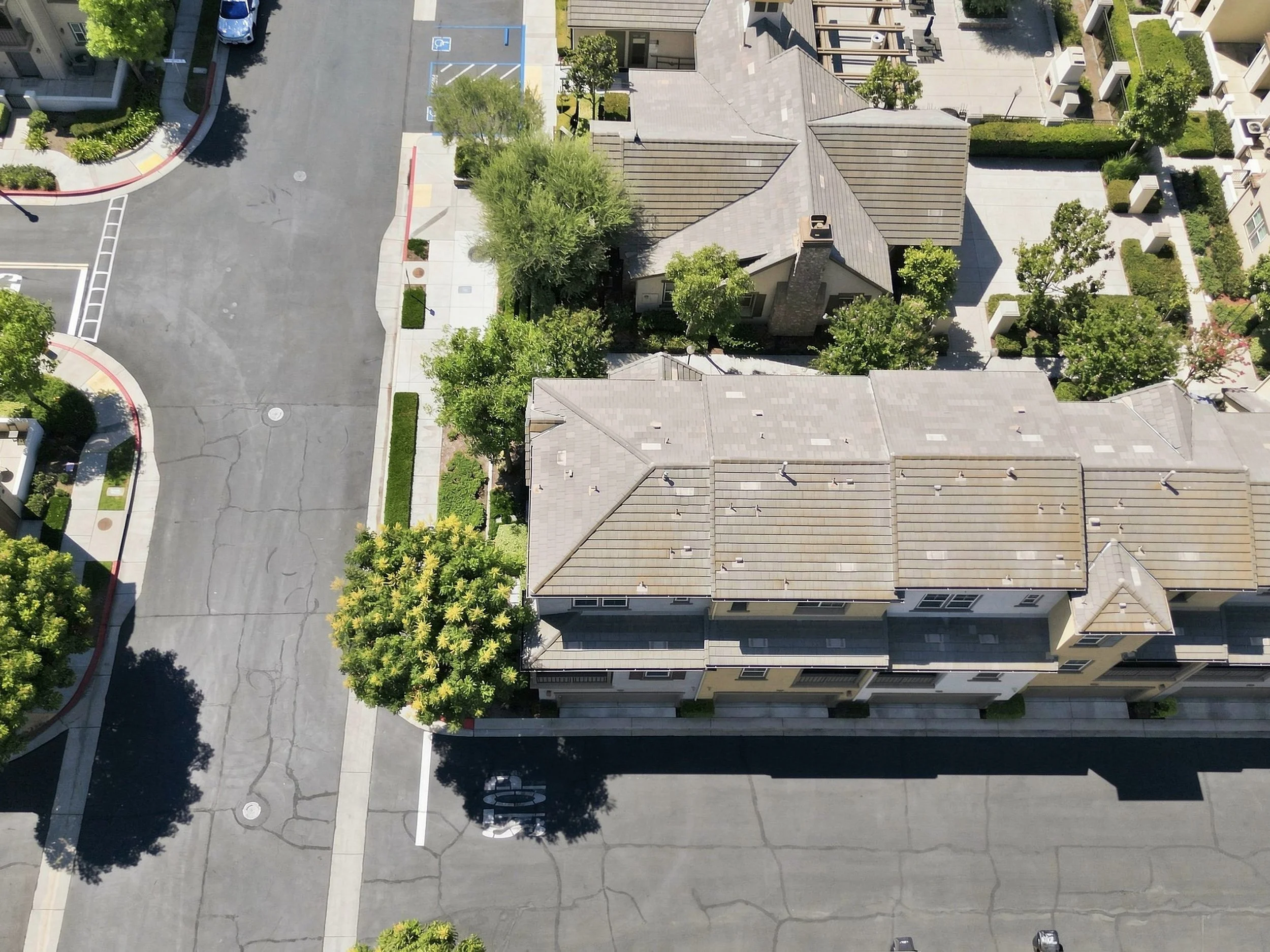 DJI_0025.jpg