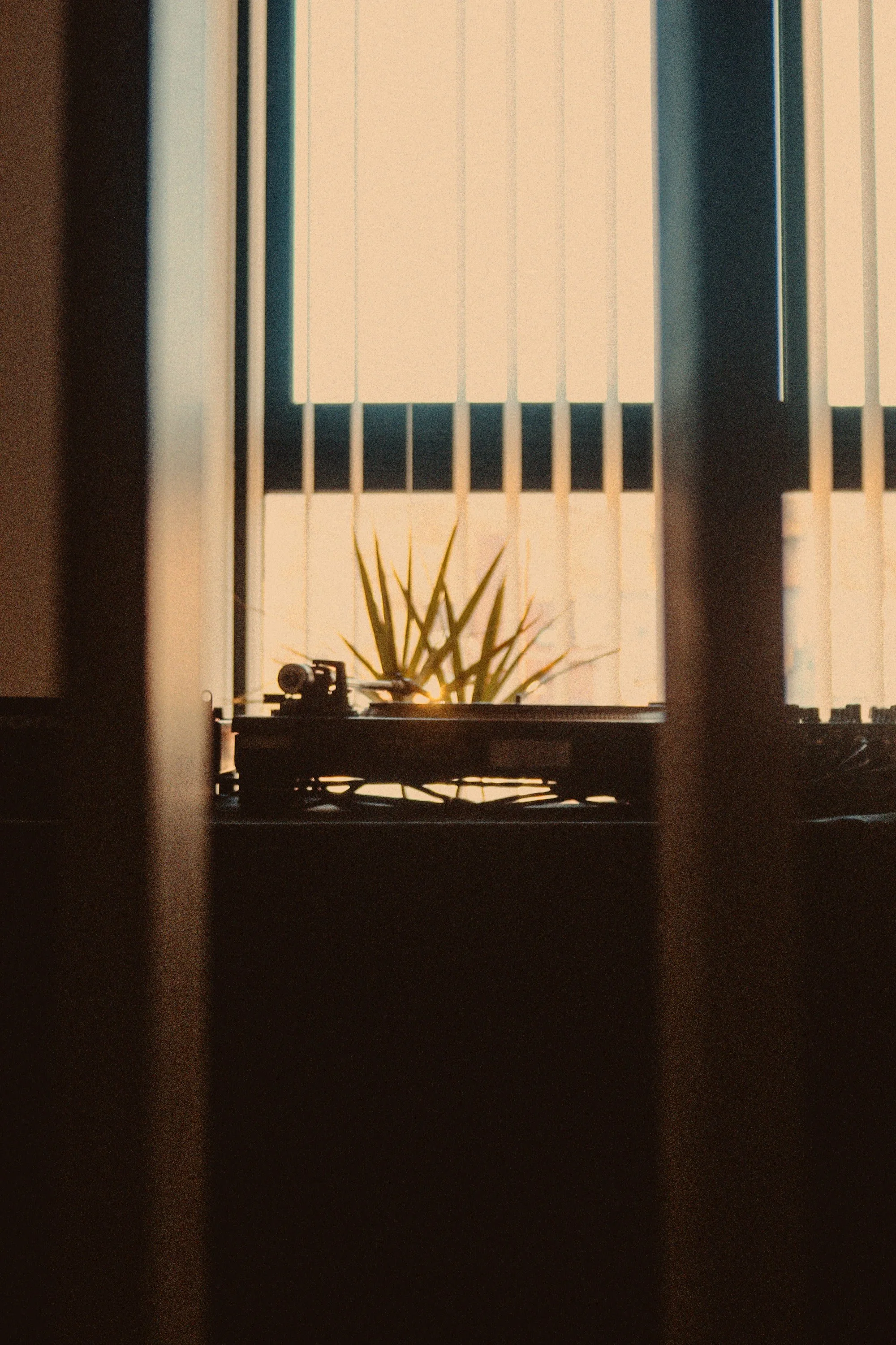 Vista desde una ventana con persianas blancas entreabiertas, se observa una planta en el interior y silueta de un tocadiscos dj technics sl1200 mkII en una mesa.