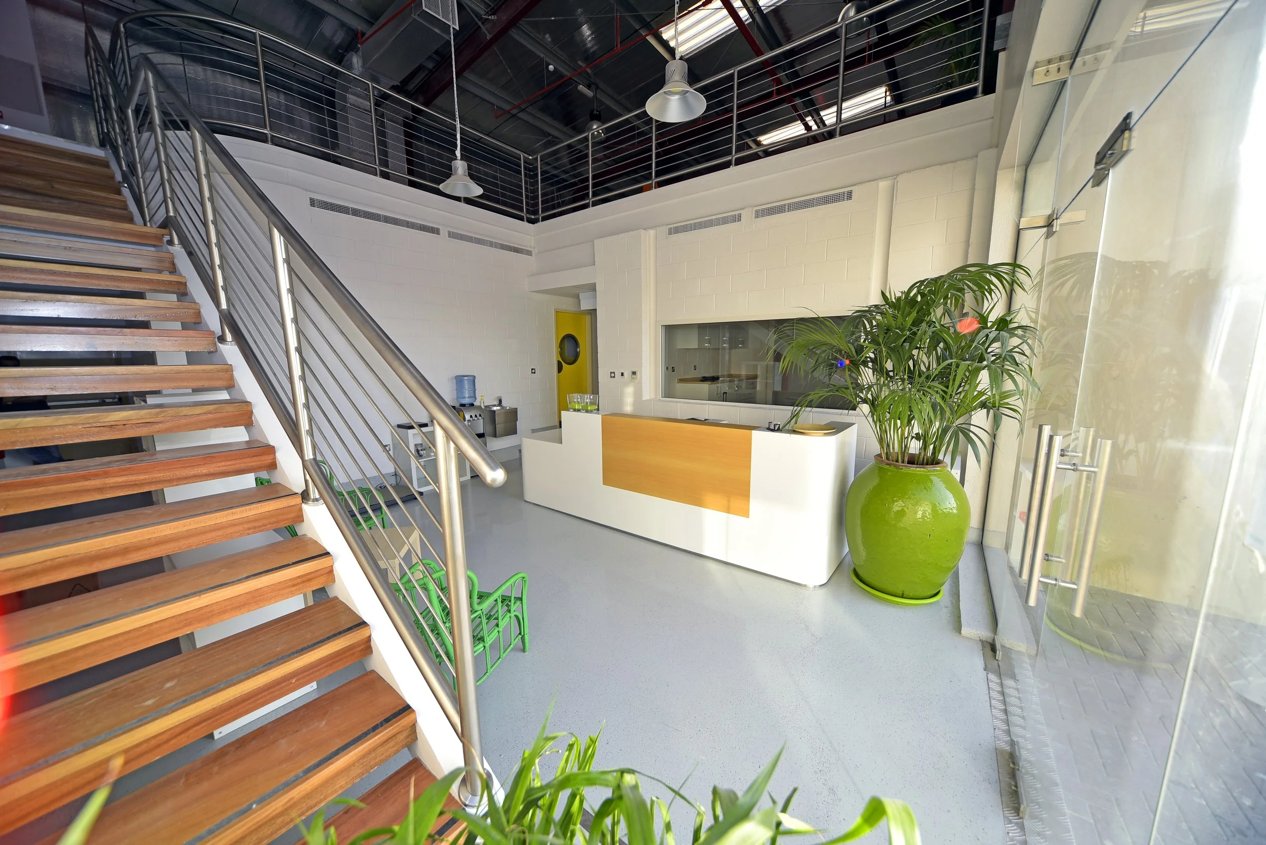 Pet Boarding Facility - Al Quoz - Dubai UAE