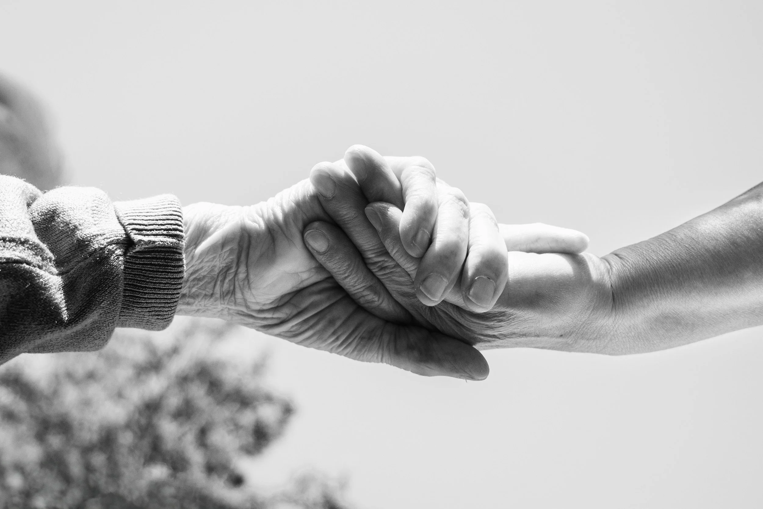 Two people holding hands in black and white, with one person's hand appearing older and the other's younger.