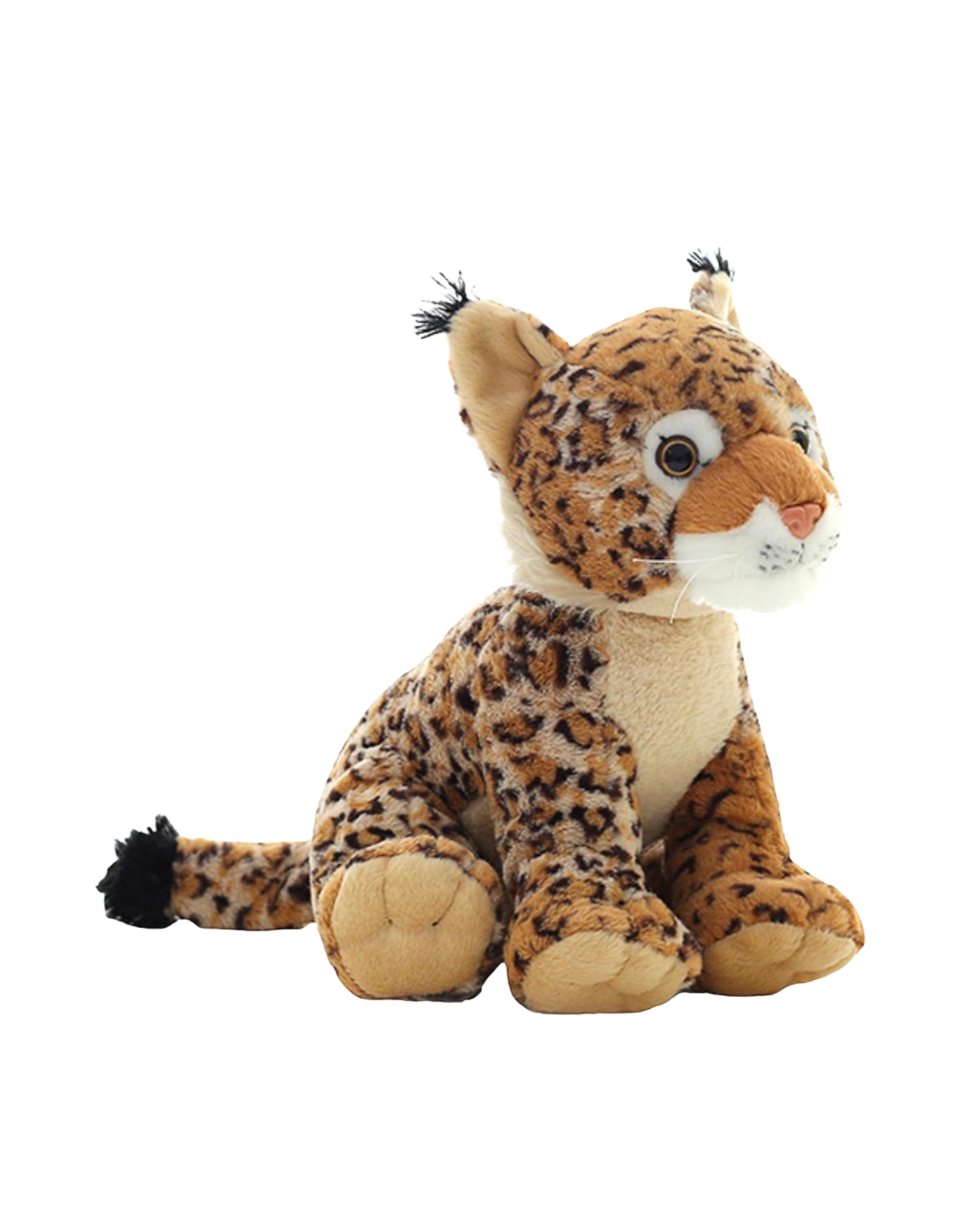 Rocco the Leopard
