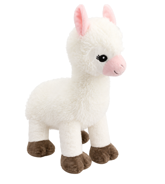 Lola the Llama