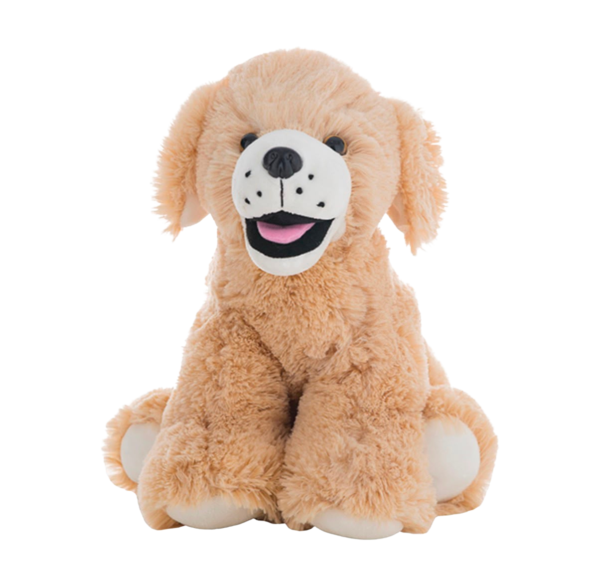 Honey the Golden Retriever