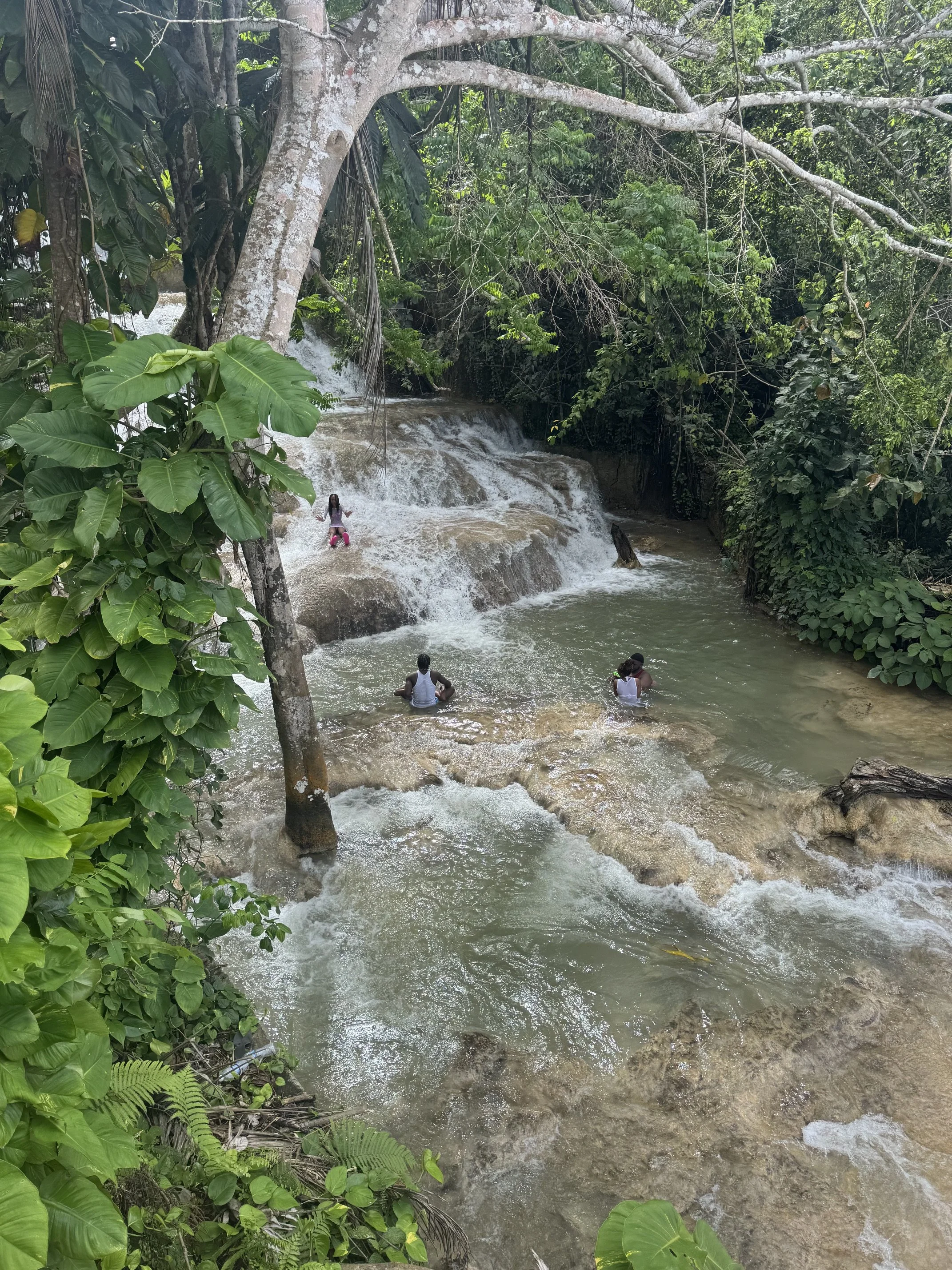 Dunn's River Falls Tour