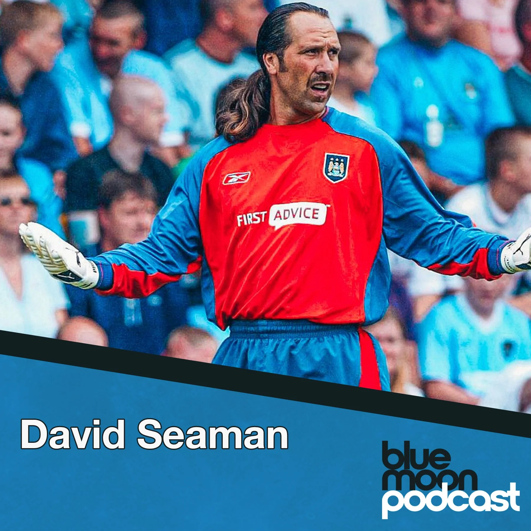 David Seaman