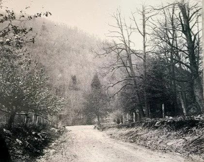 A black and white photo of a dirt road winding through a wooded area with bare trees.