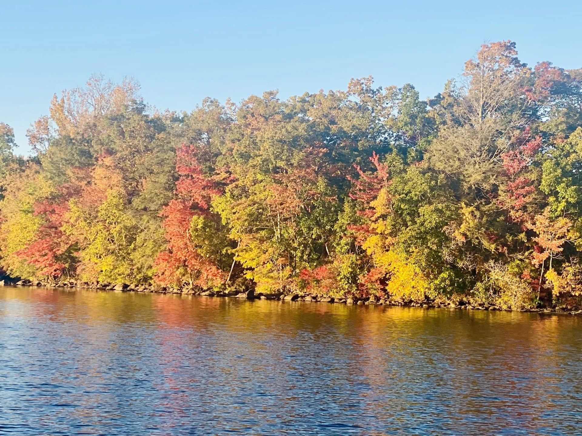 Fall.jpg