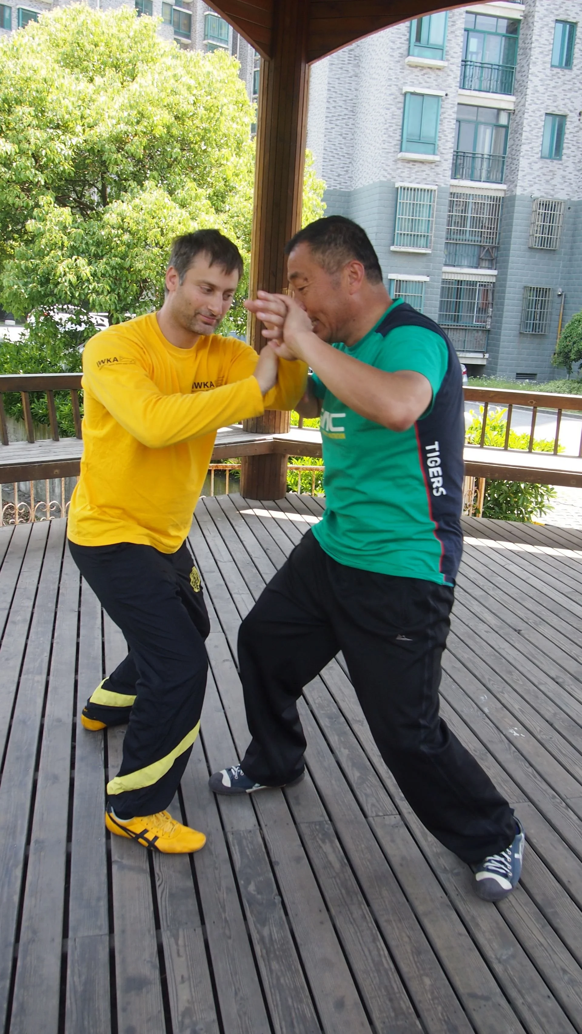 A photo during Tui Shou