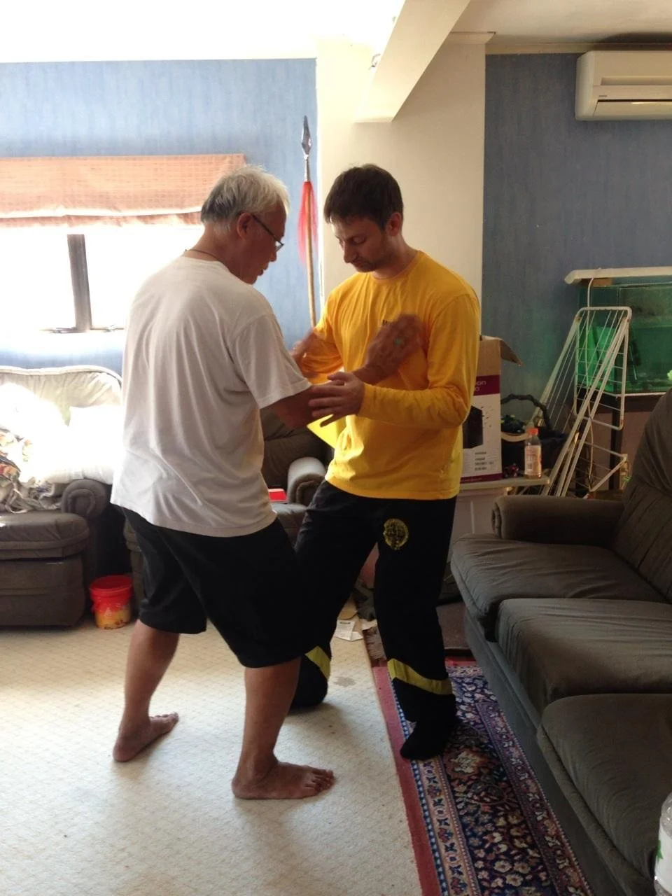 During Private Lesson with Shifu Wee Lee Jin at his home in Auckland, New Zealand, doing the Huang Taijiquan two man sets