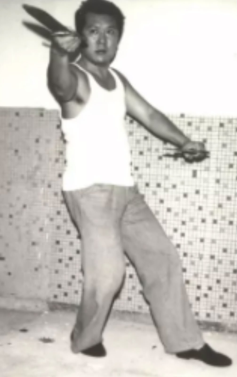 Snake Crane Wing Chun Tut Min Seung Dao - life taking double swords