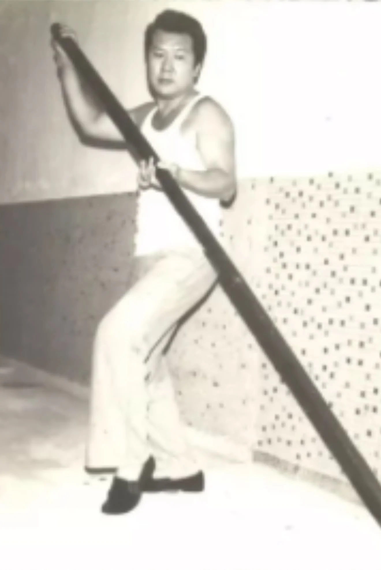 Snake Crane Wing Chun Luk DIm Boon Kwan - 6.5 long pole