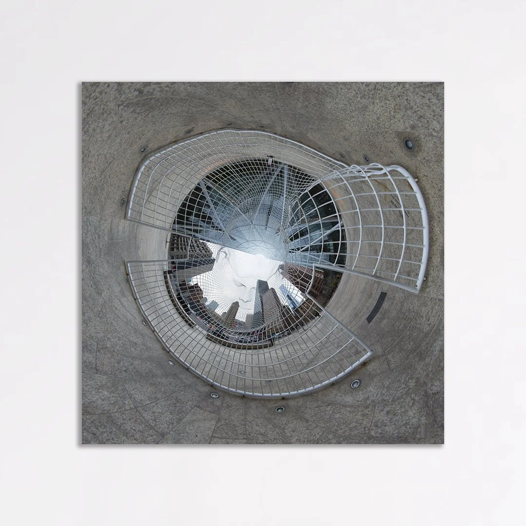 Inside Wonderland, 30x30x1", photograph printed on white brushed aluminum, detail view.
