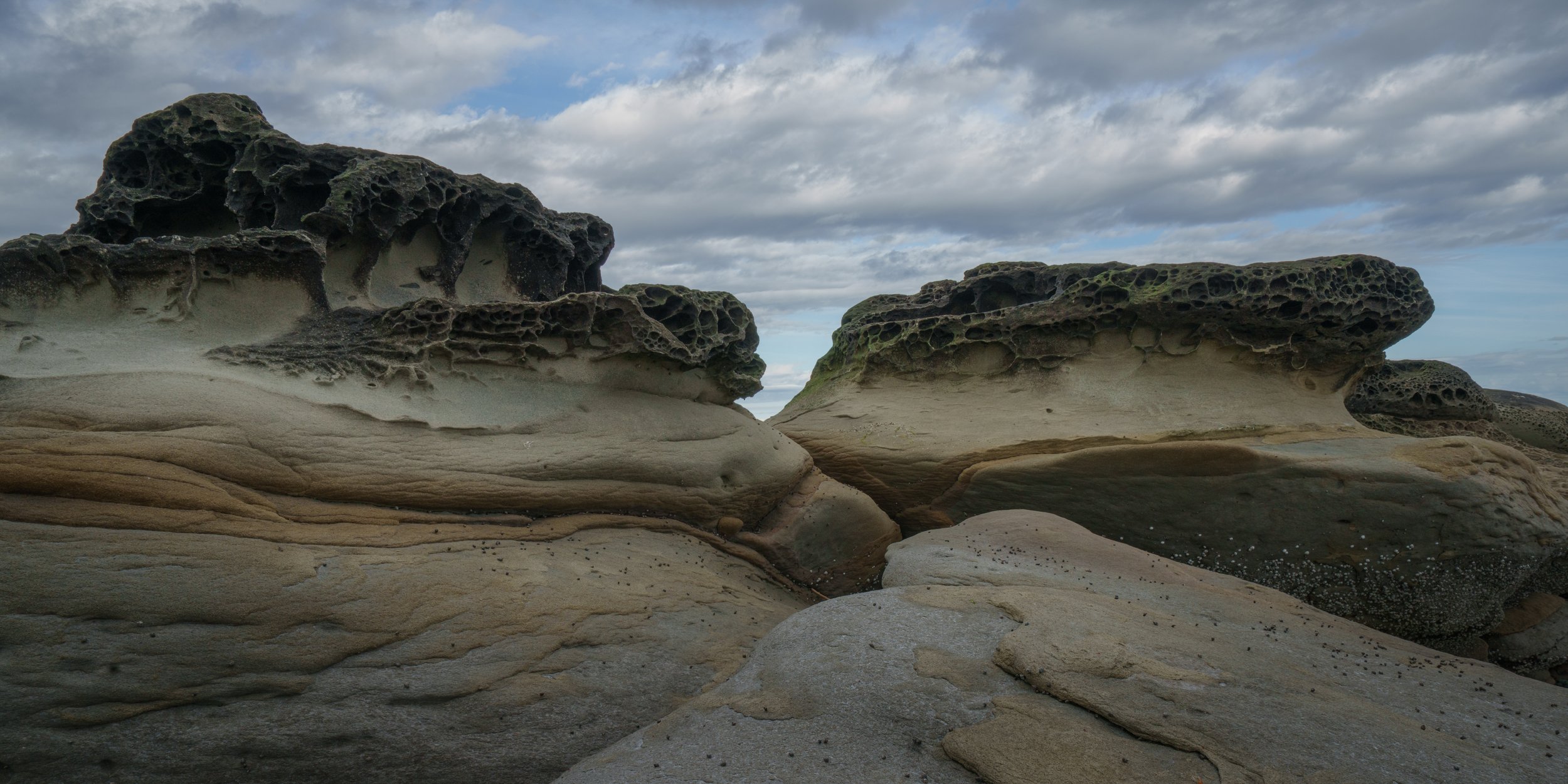 DSC03432-Edit.JPG