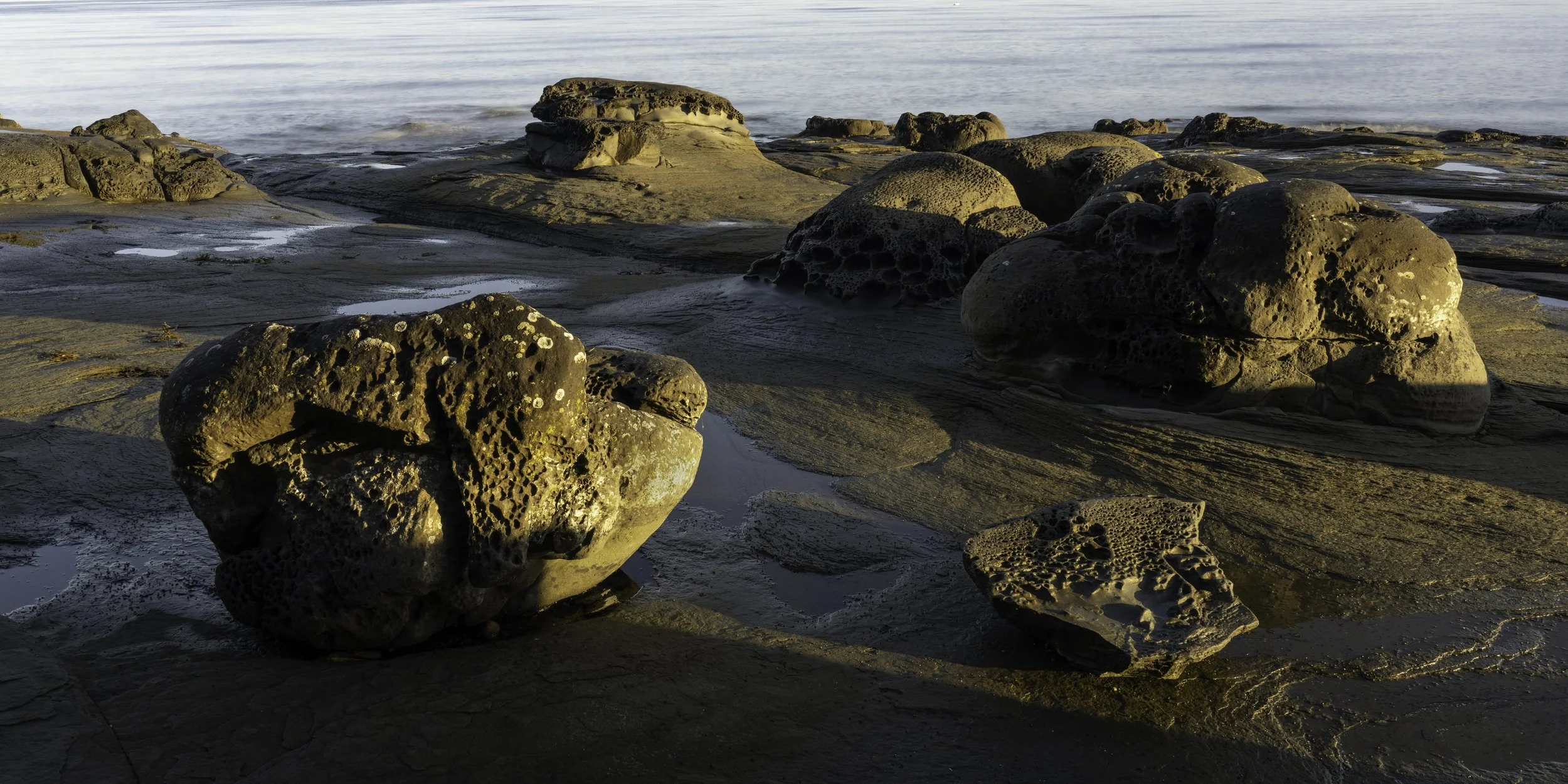 DSC06164-Edit-1x2.jpg