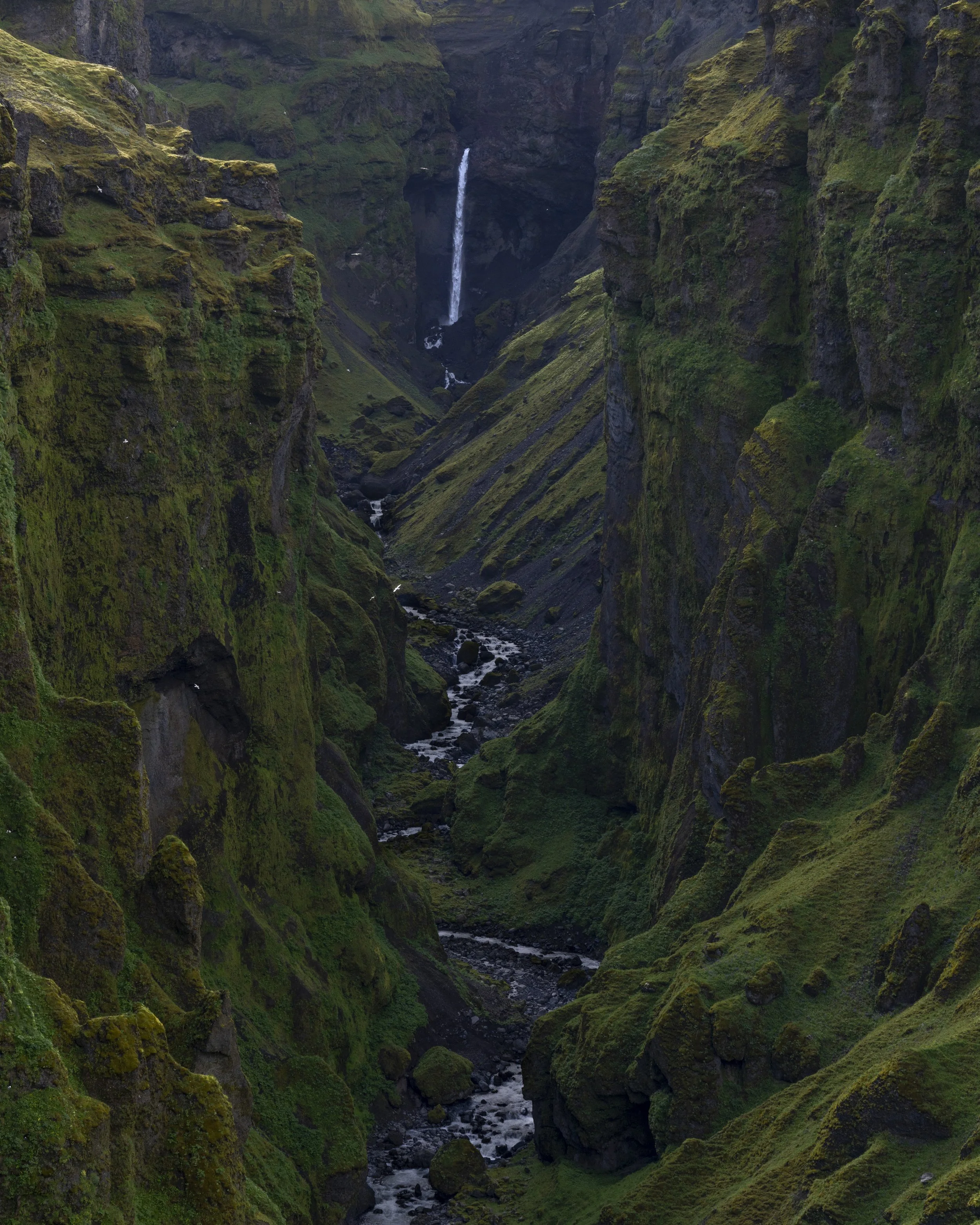DSC05981_Best-2.jpg