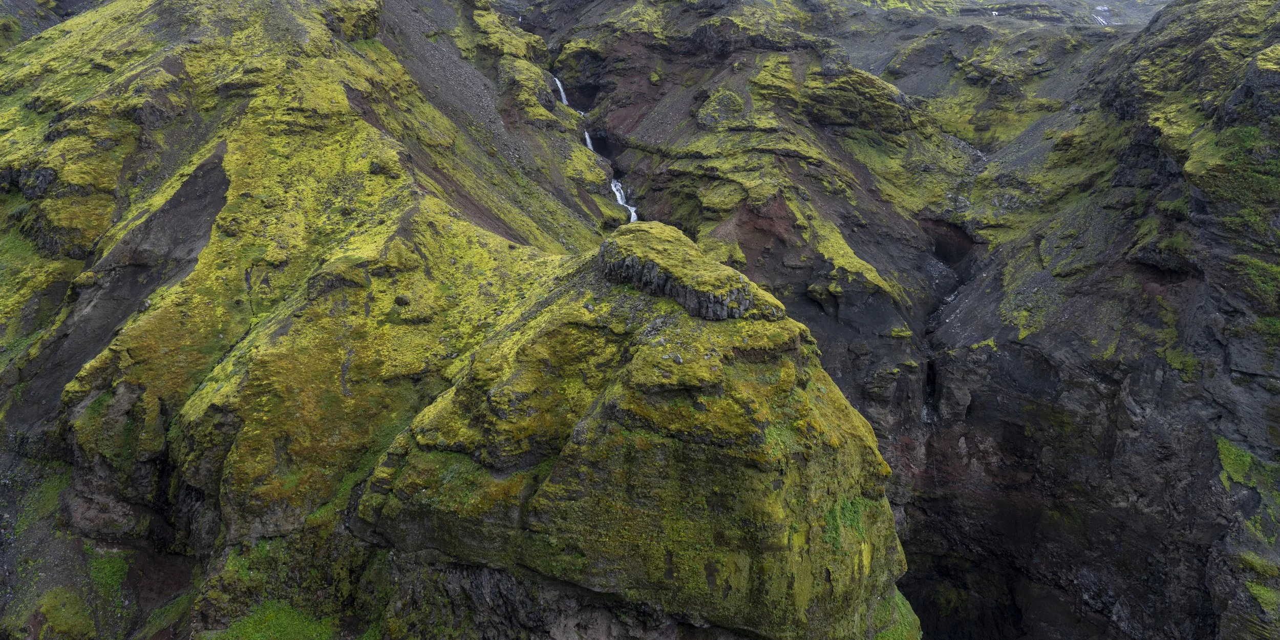 DSC06046-2.jpg