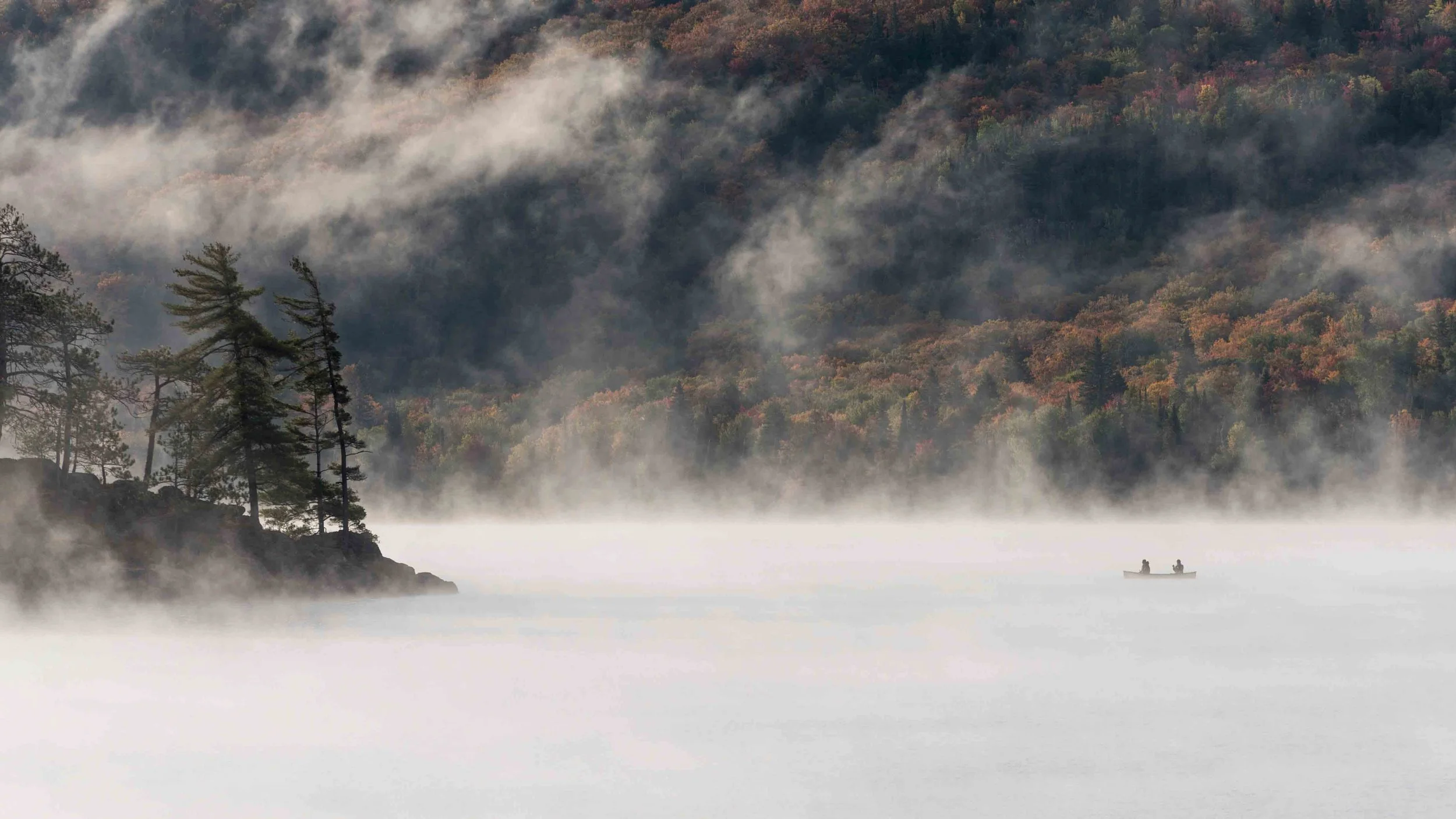 Morning Fog.JPG