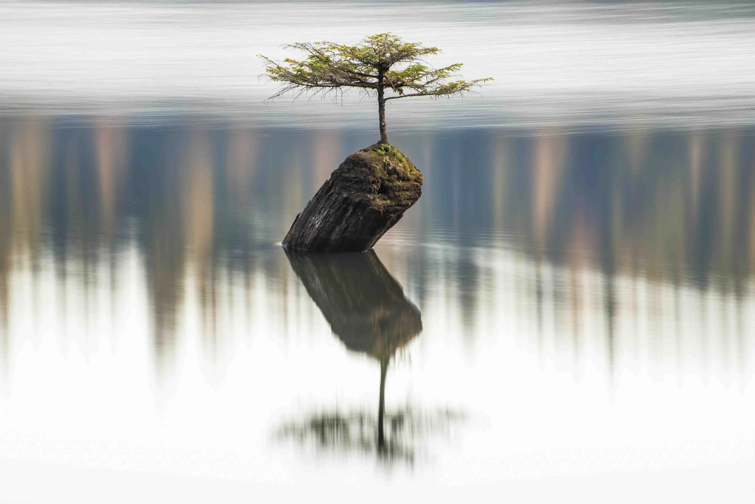 _ABI9407-Edit.JPG