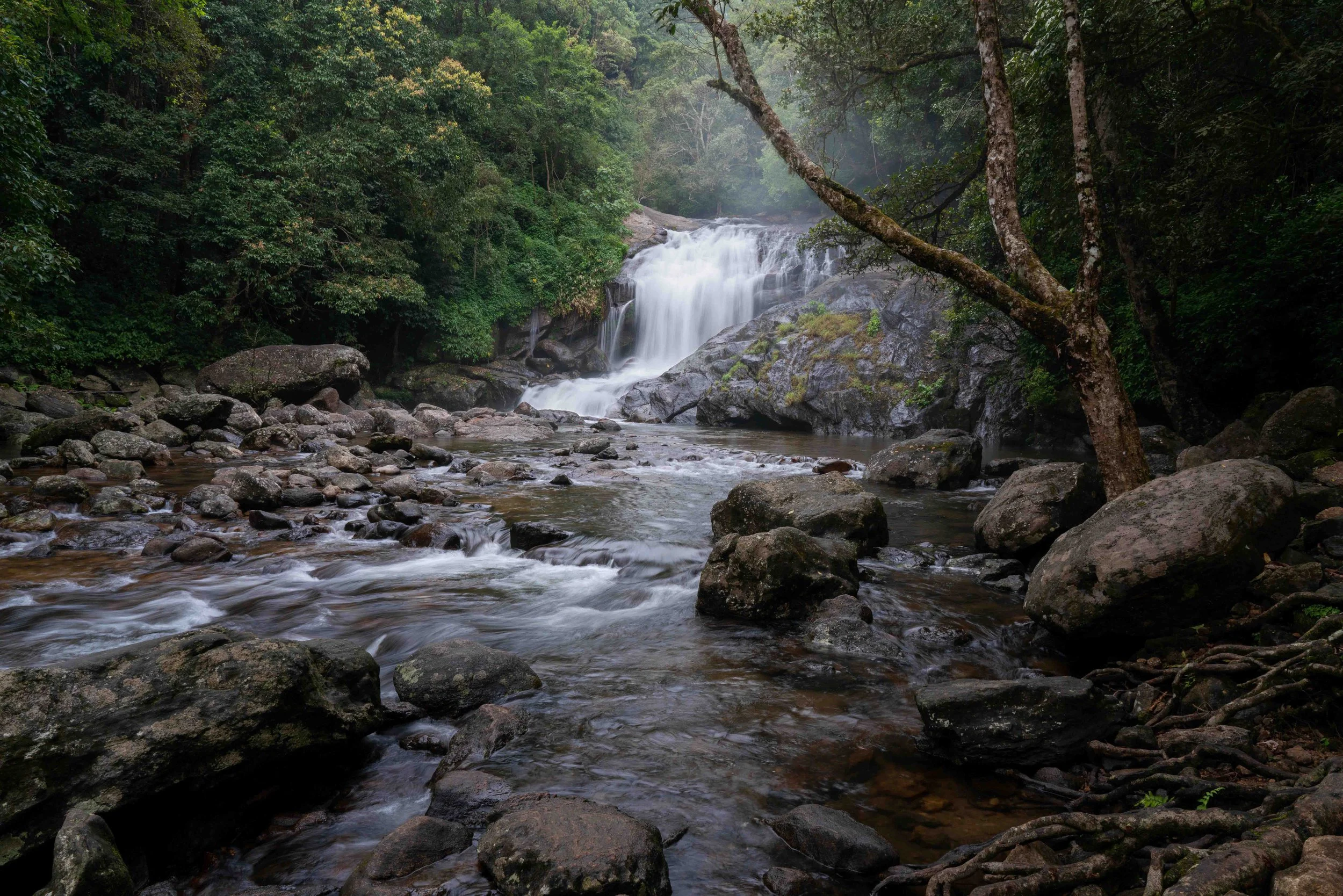 DSC01611-Edit.JPG