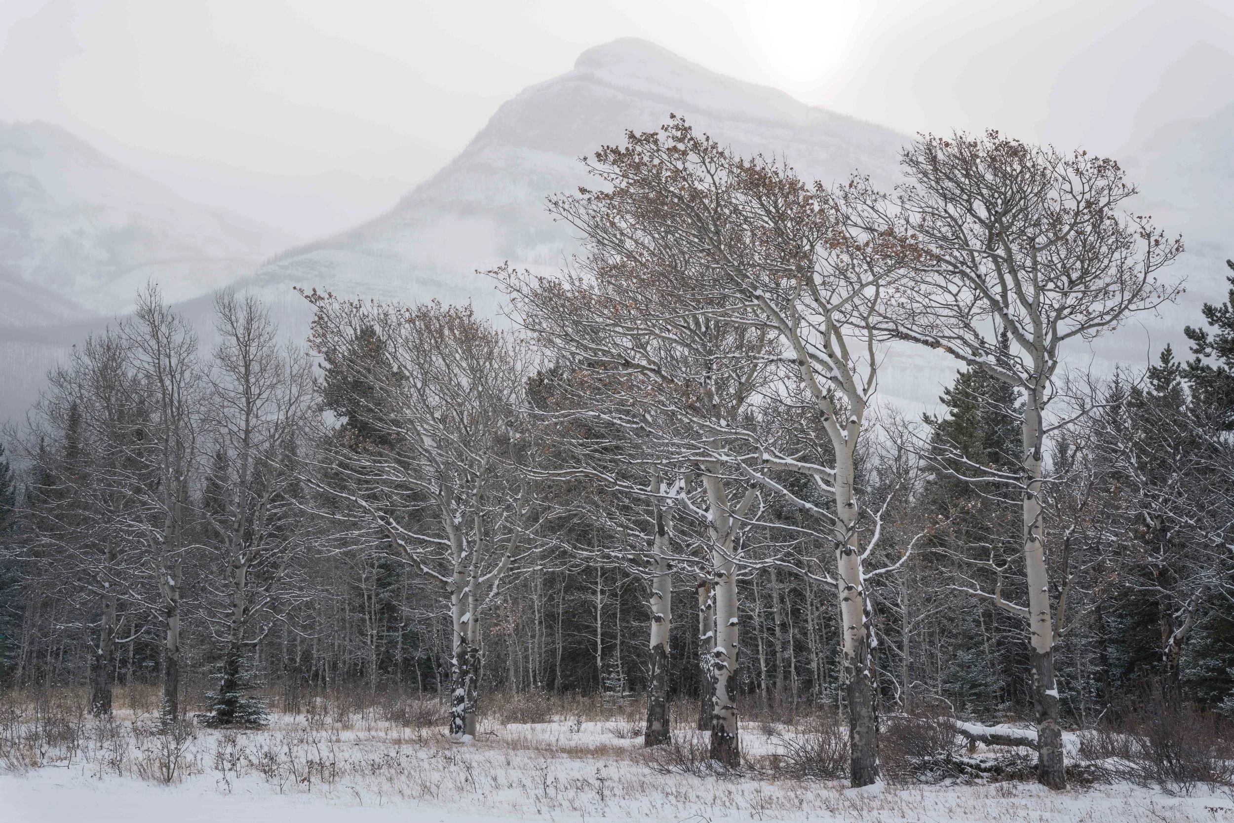 DSC09667-Edit.JPG
