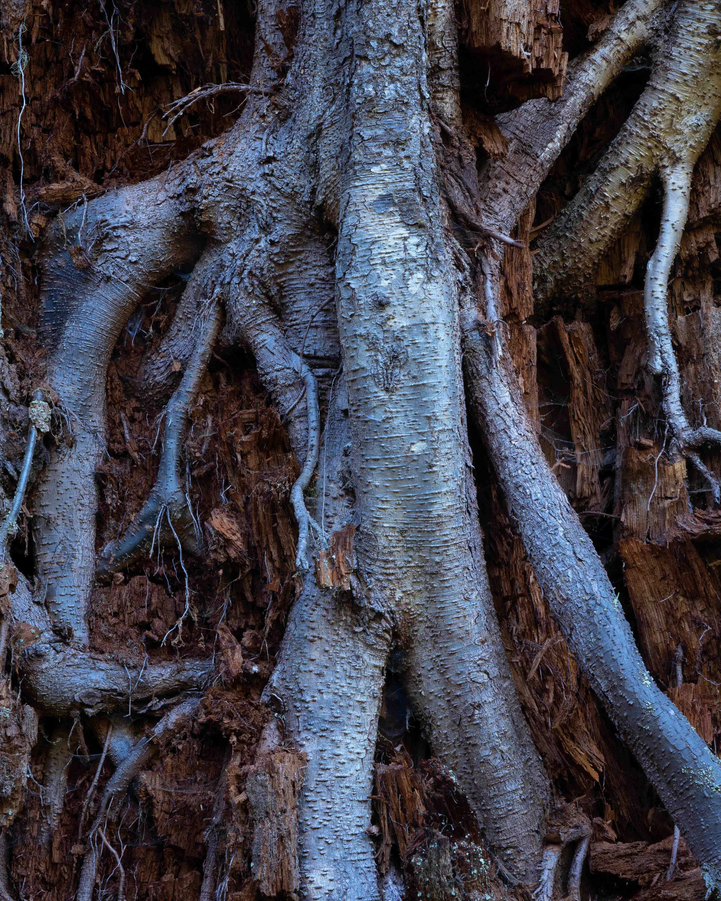 DSC09631-2.JPG