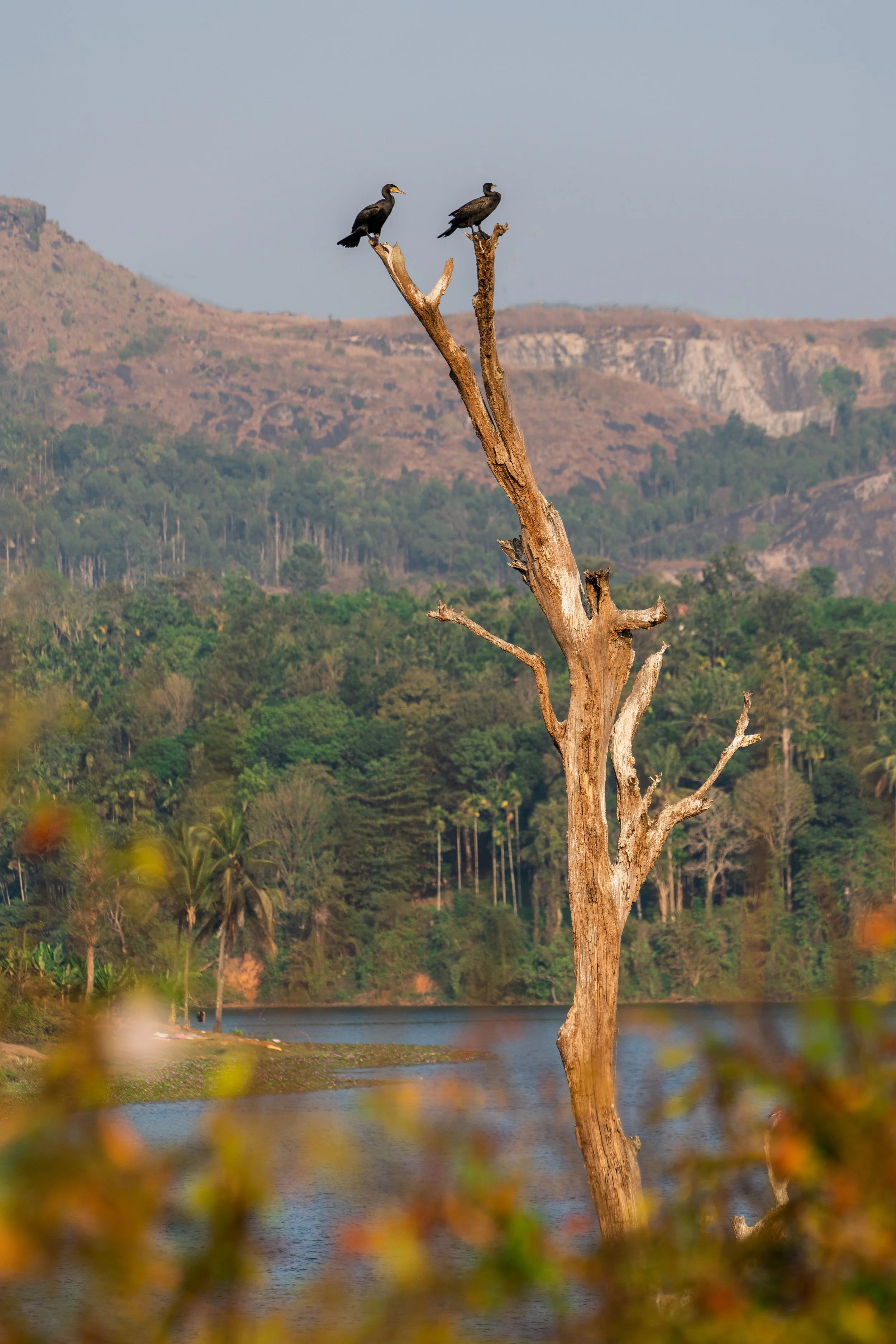 Above the River.jpg