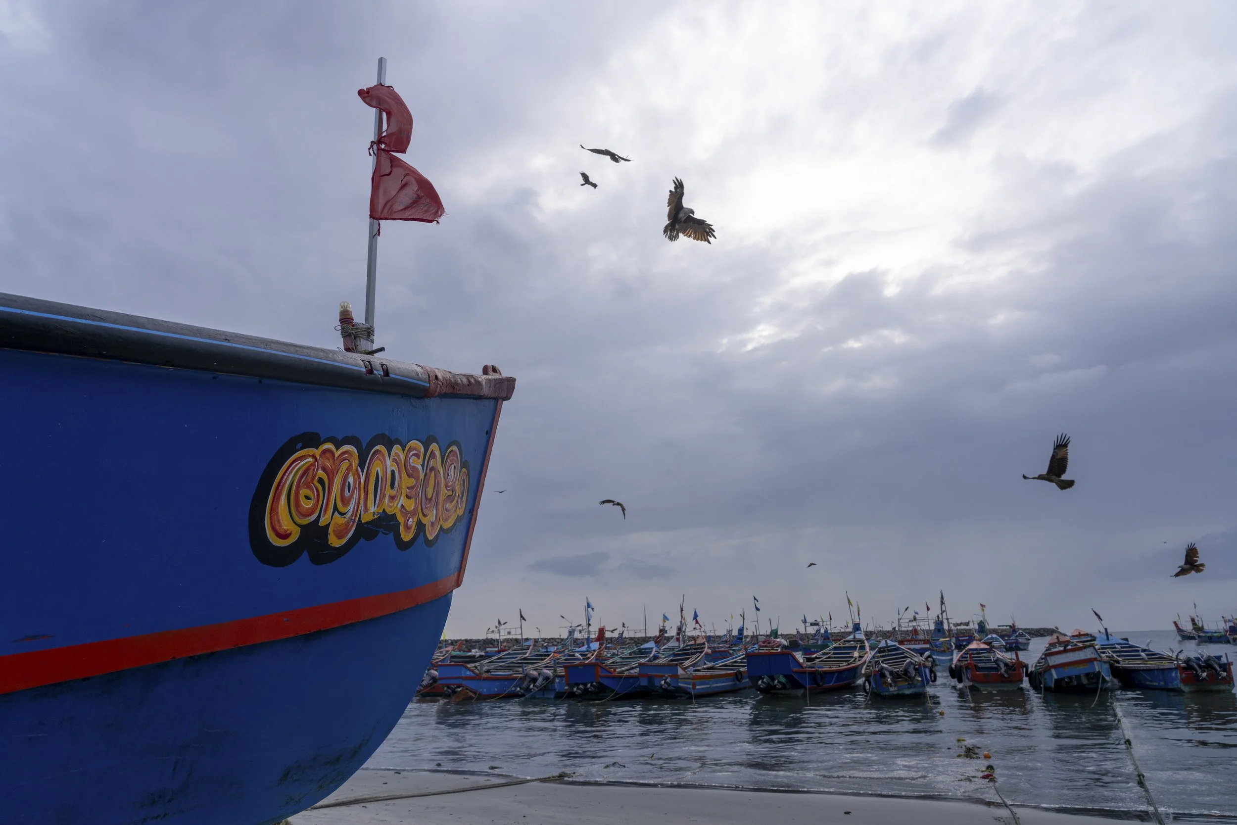 DSC01772-2.jpg