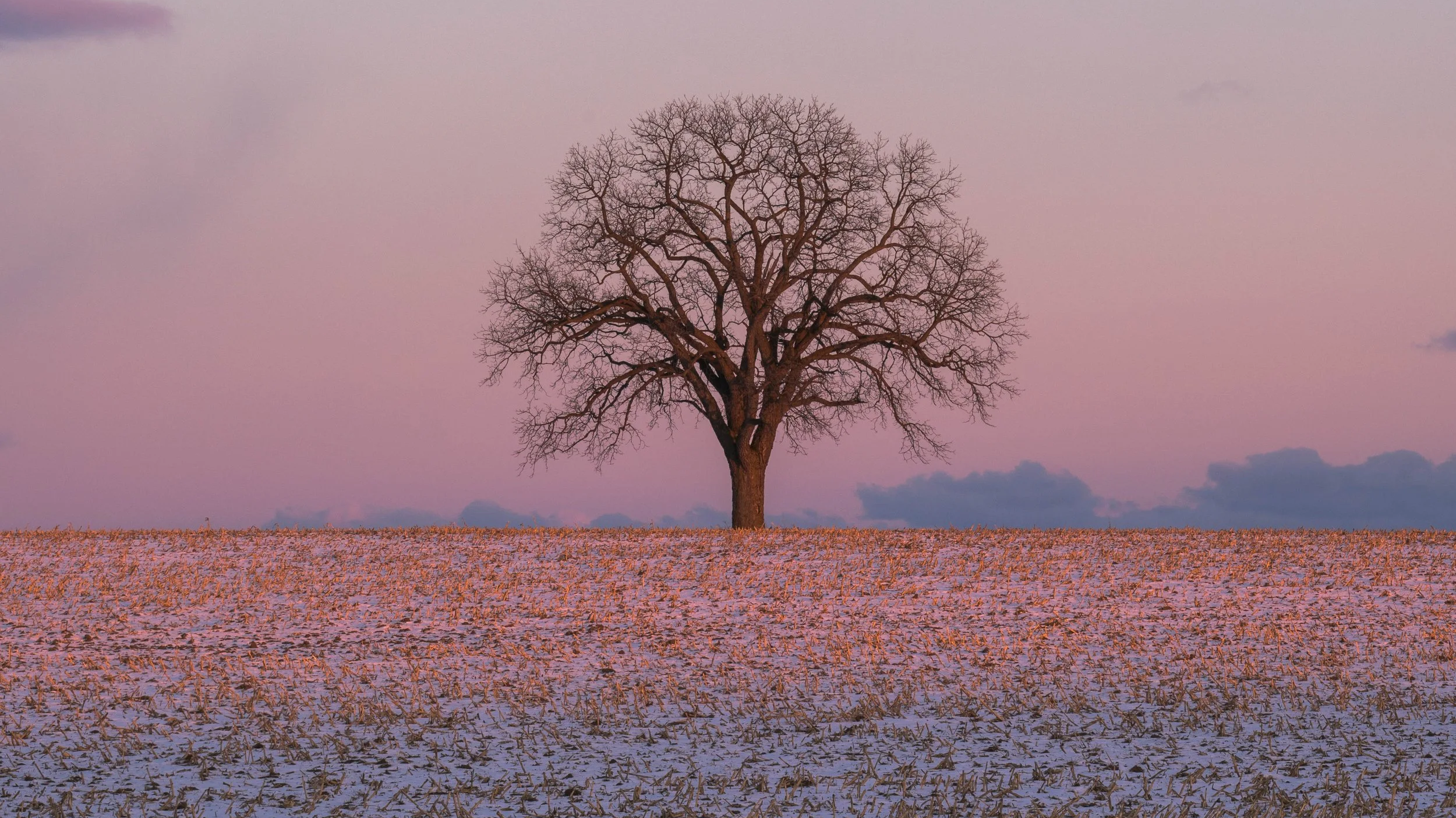 Ontario