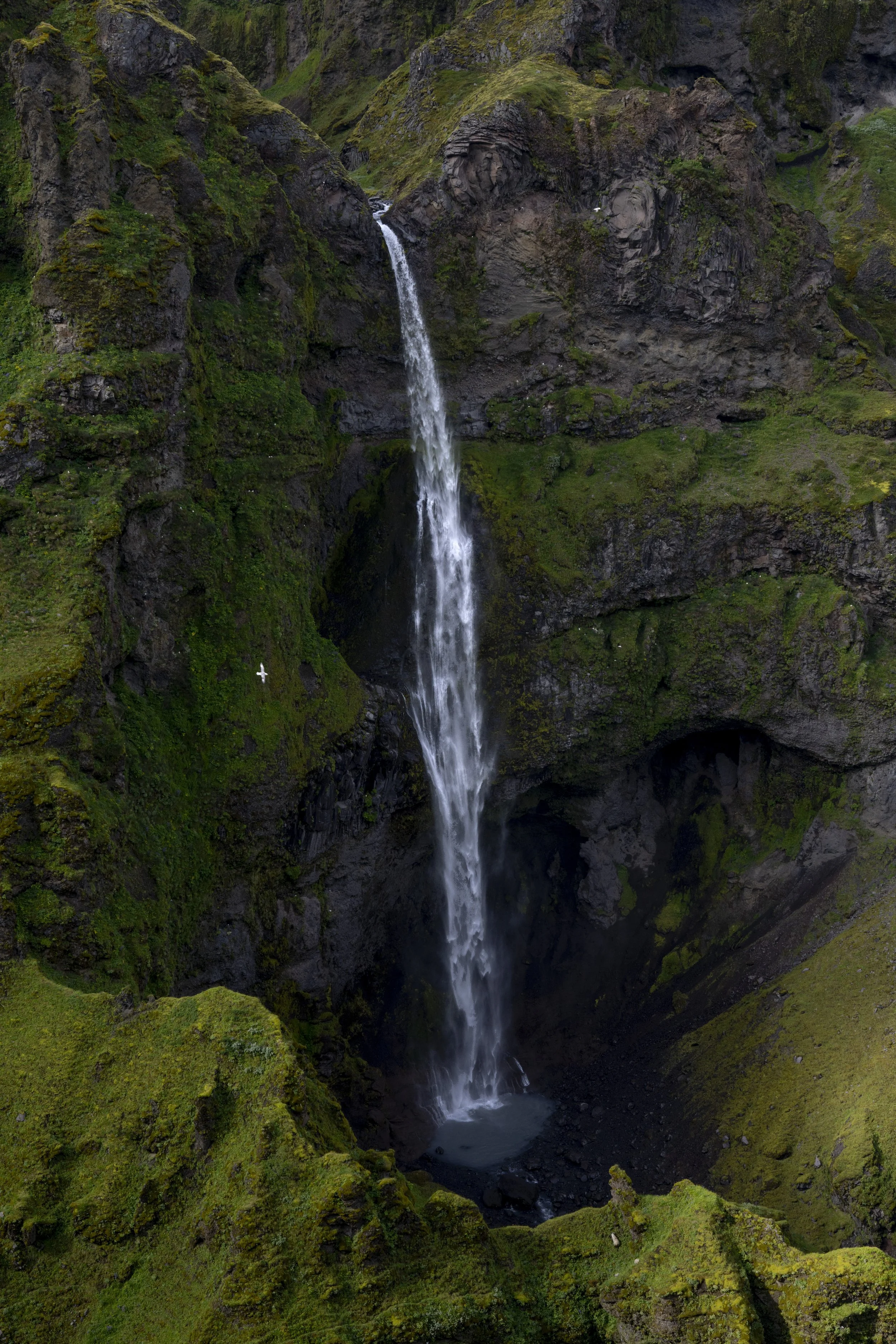 DSC06020-2.jpg