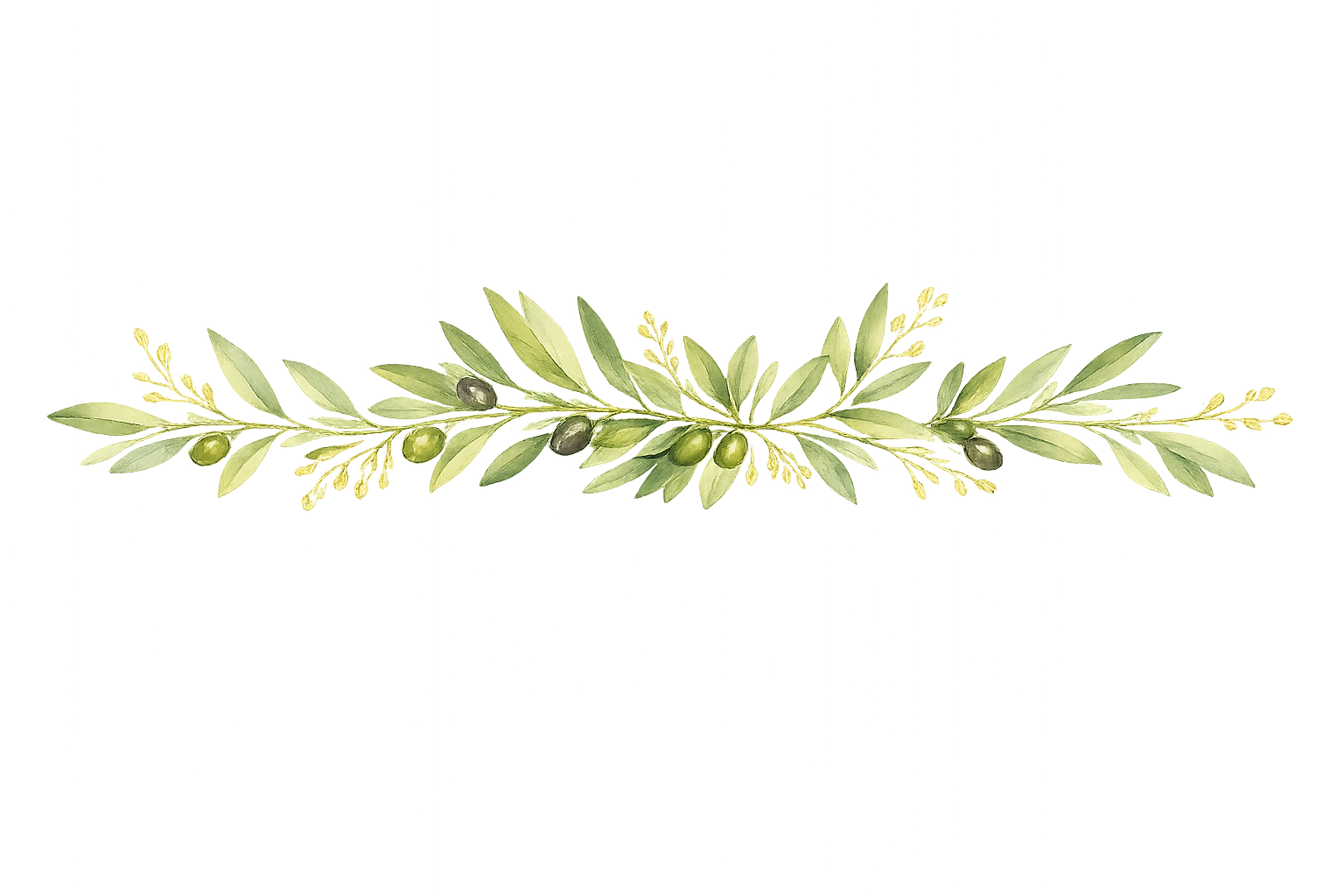 A digital artwork of a golden olive branch with black and green olives lying across a reflective surface, with a black background and abstract purple and pink lines and shapes.