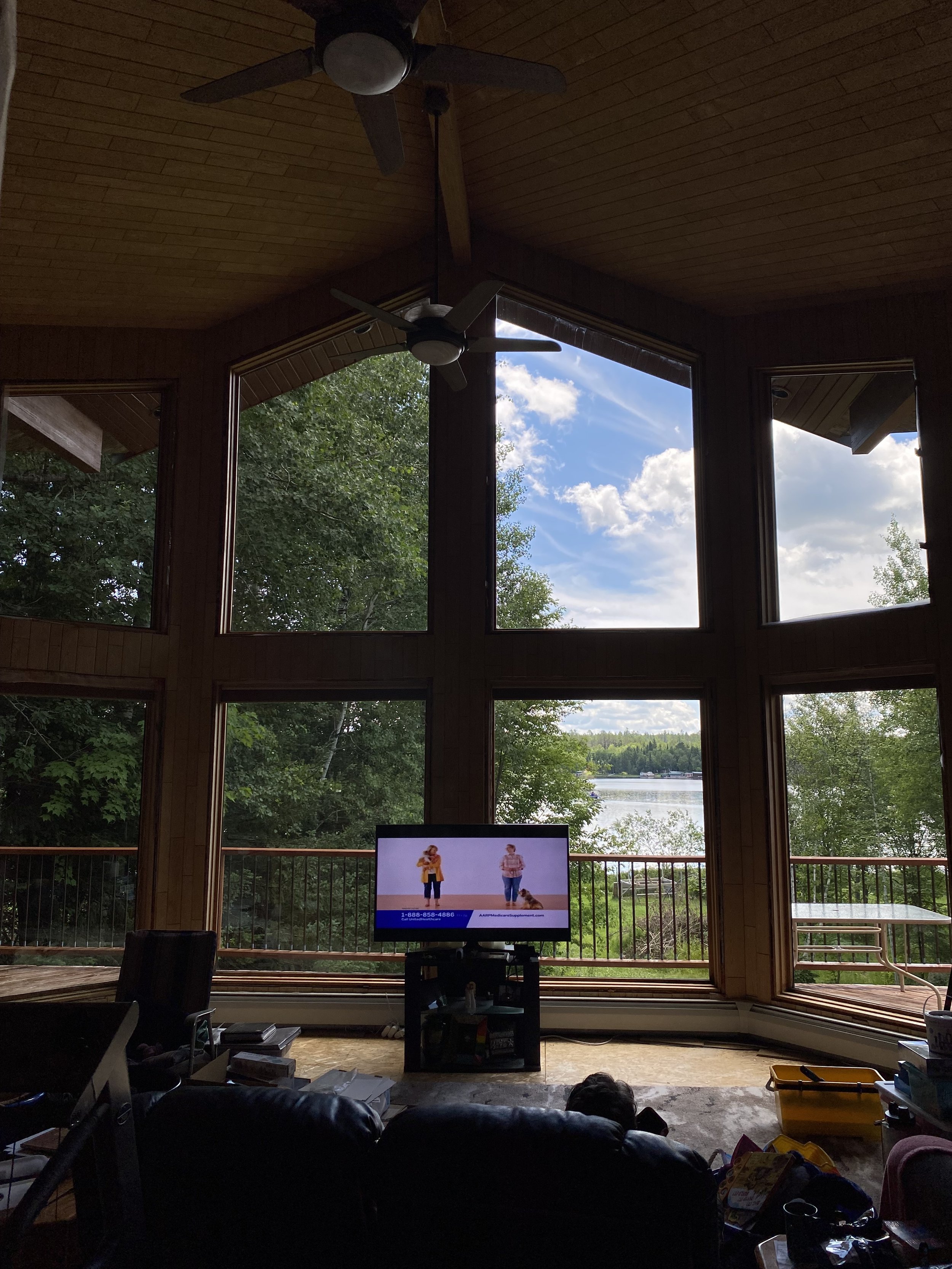 Living room with large bay windows overlooking trees and water, a ceiling fan, and a TV displaying two women and a dog in a dance or exercise class.