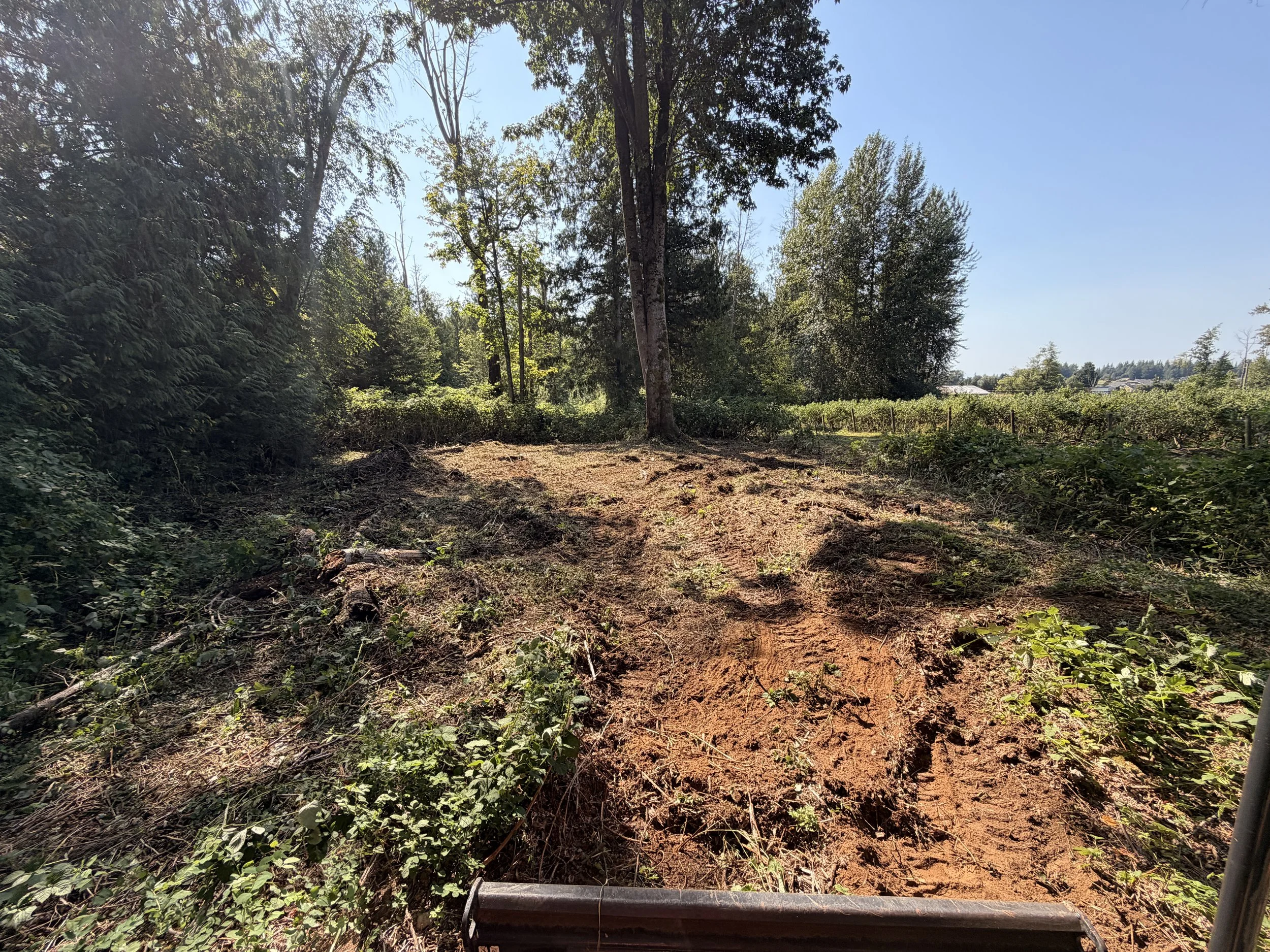 The owners property