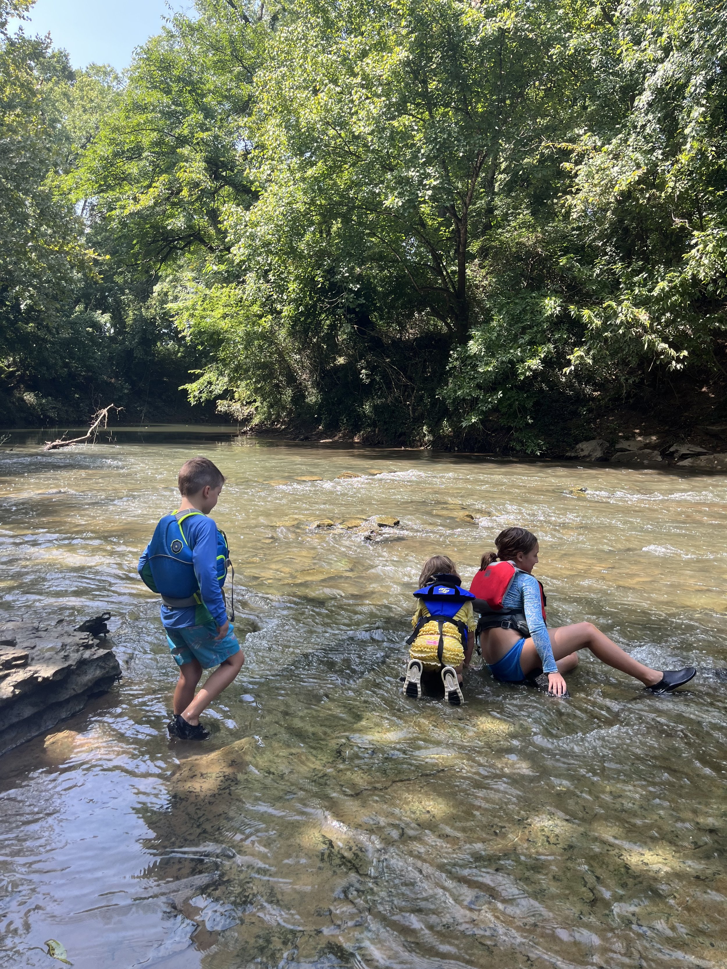 Kids playing in a shallow river surrounded by lush green trees.