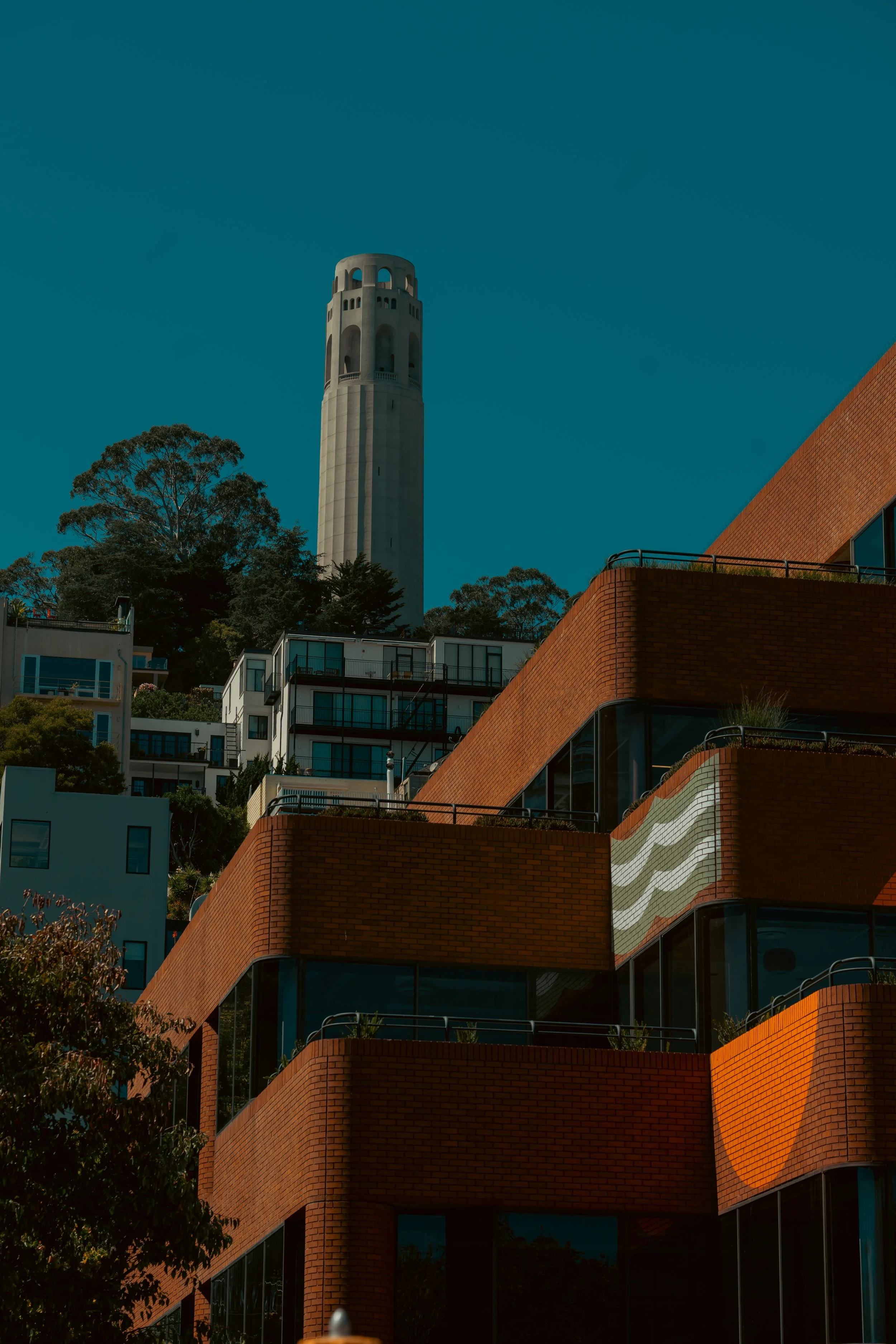 _DSC8644.jpg