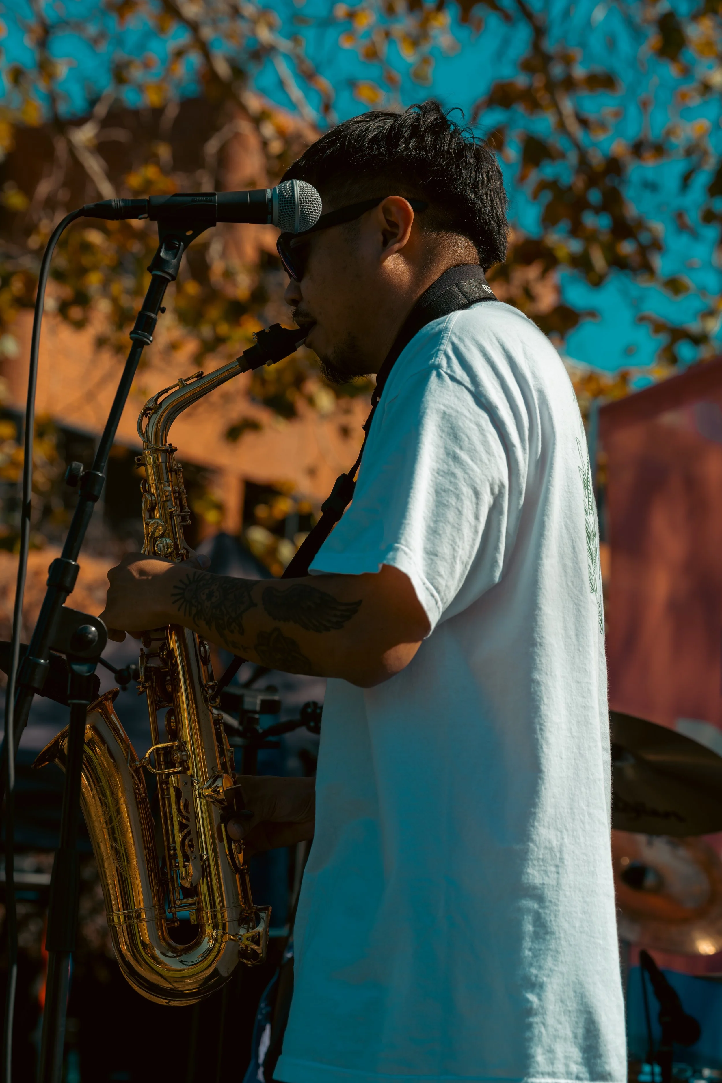 _DSC8988.jpg
