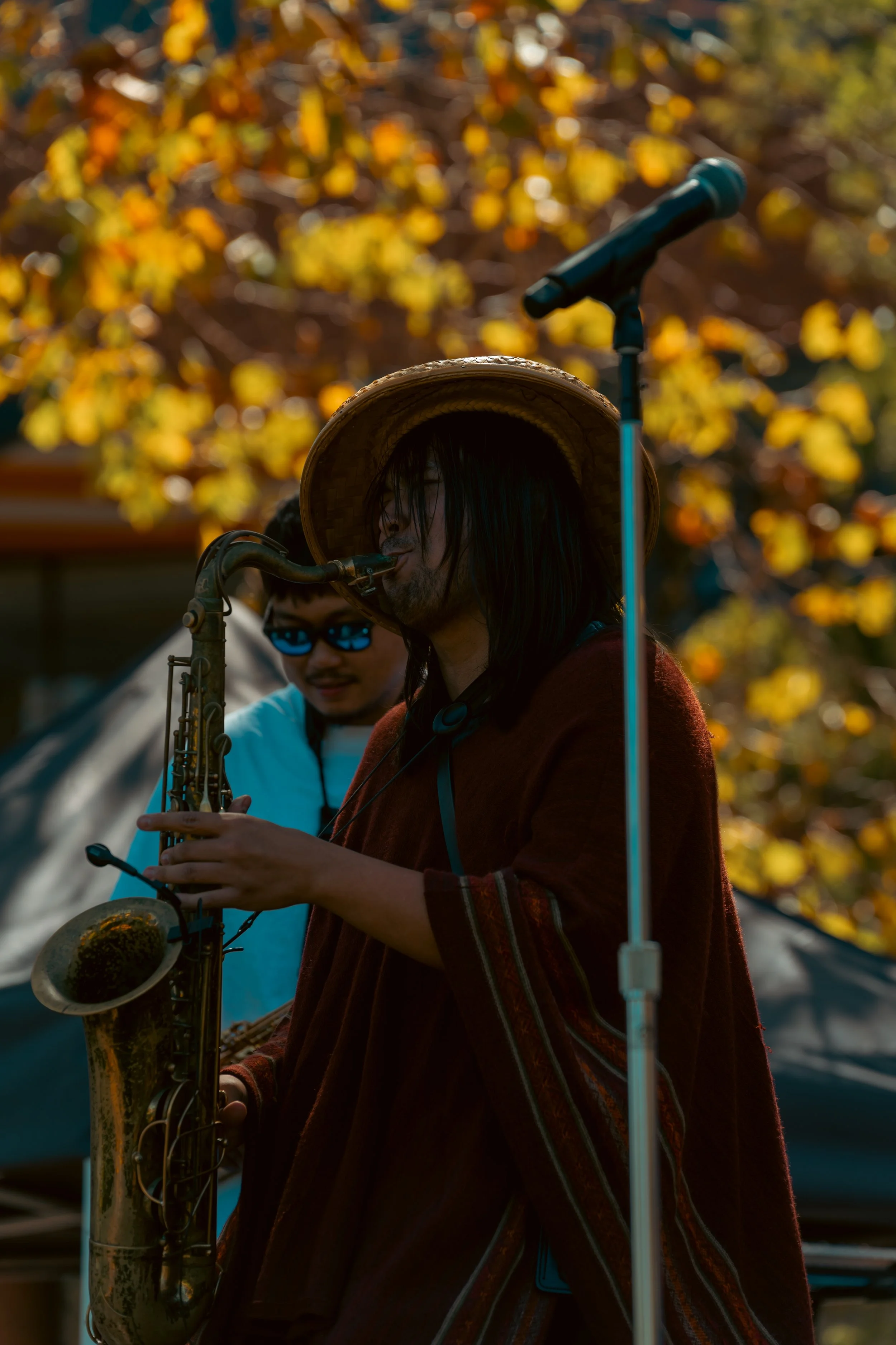 _DSC8525.jpg